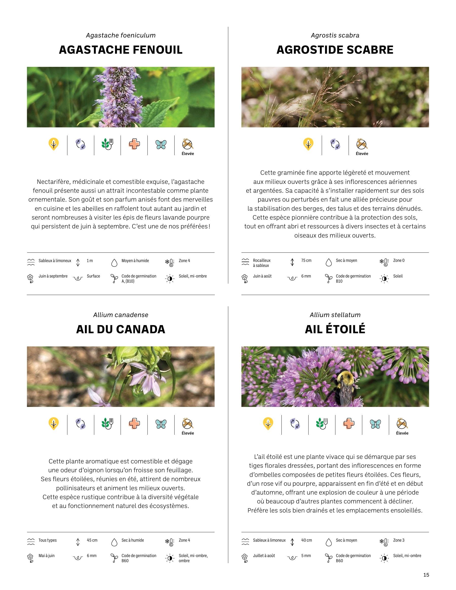 Akène Detailed Seed Catalog Flyer January 1 - December 31, 2026