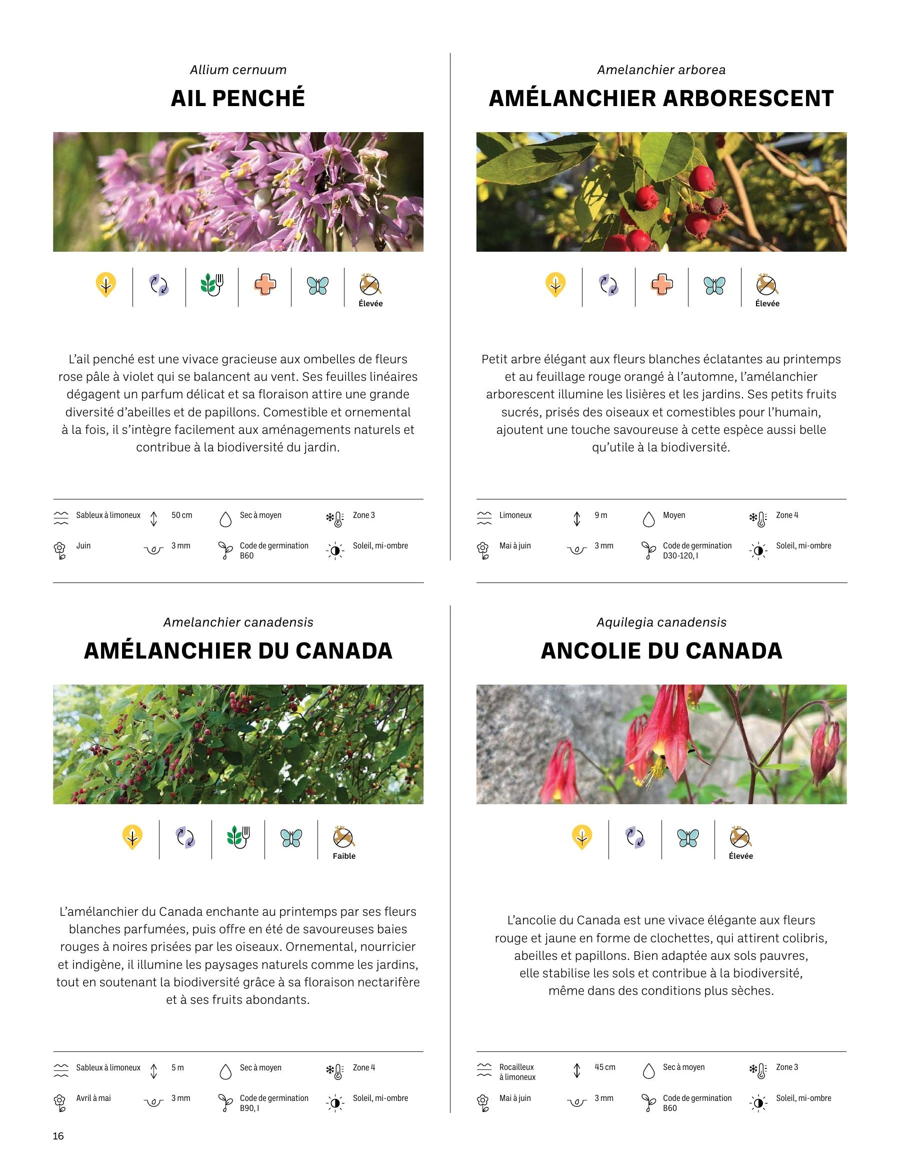 Akène Detailed Seed Catalog Flyer January 1 - December 31, 2026