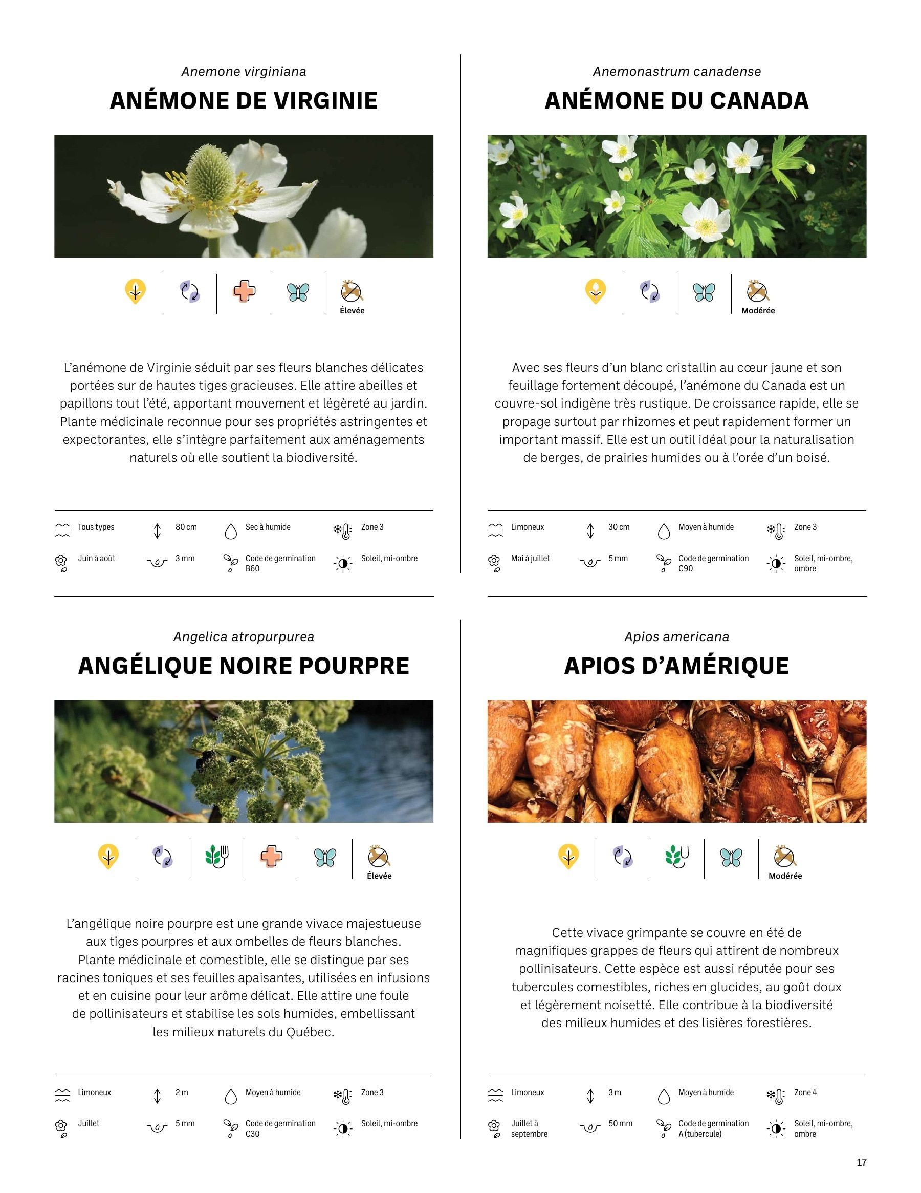 Akène Detailed Seed Catalog Flyer January 1 - December 31, 2026