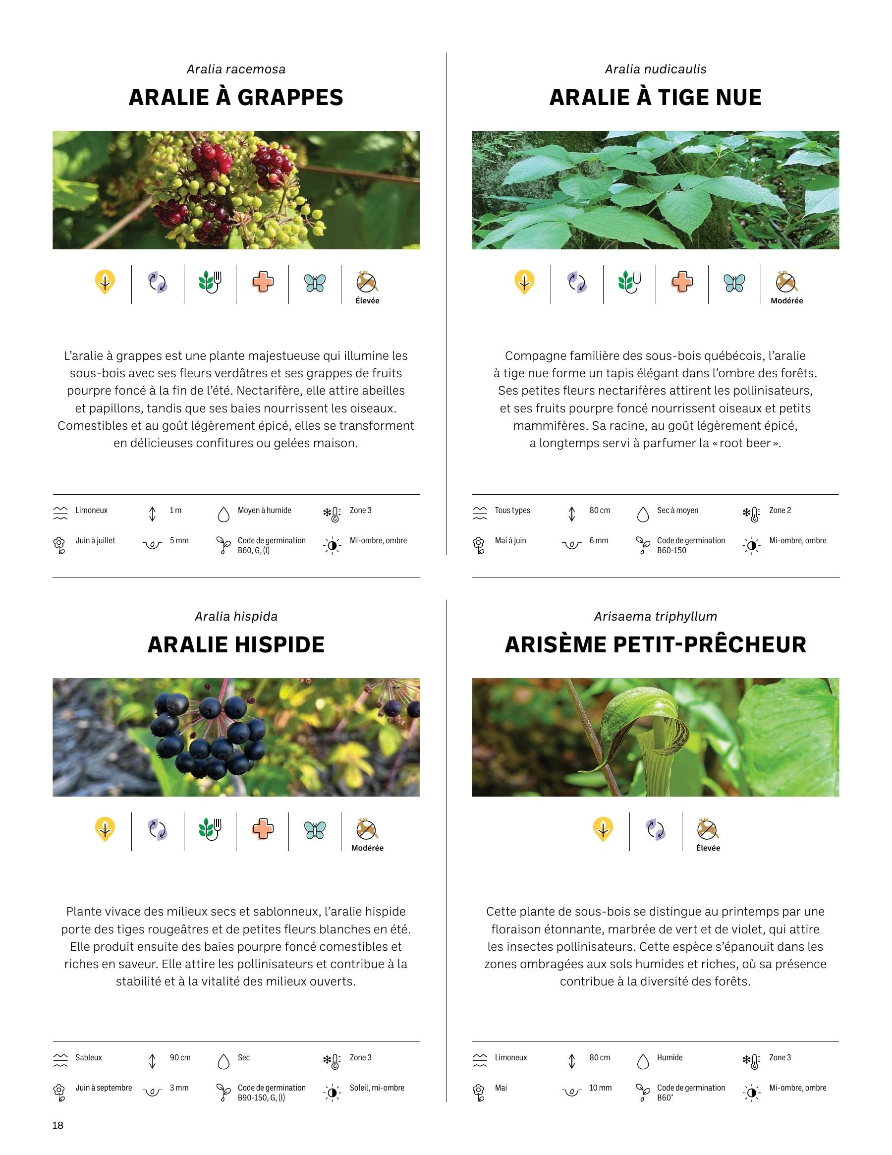 Akène Detailed Seed Catalog Flyer January 1 - December 31, 2026