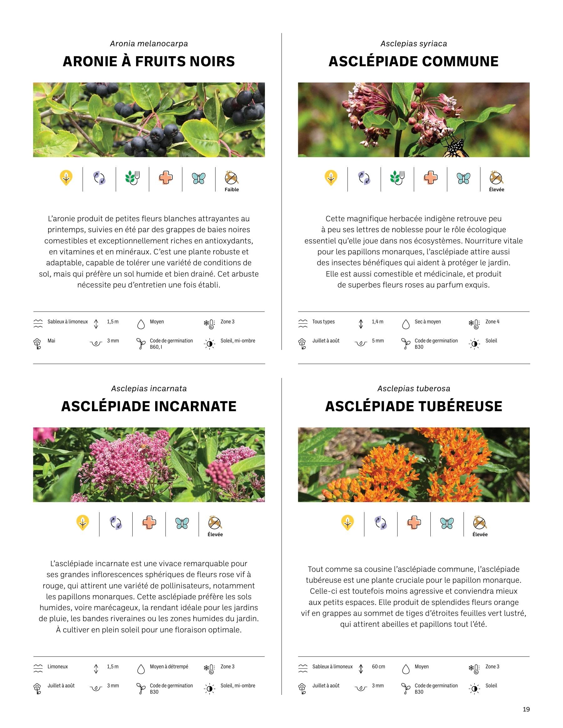 Akène Detailed Seed Catalog Flyer January 1 - December 31, 2026