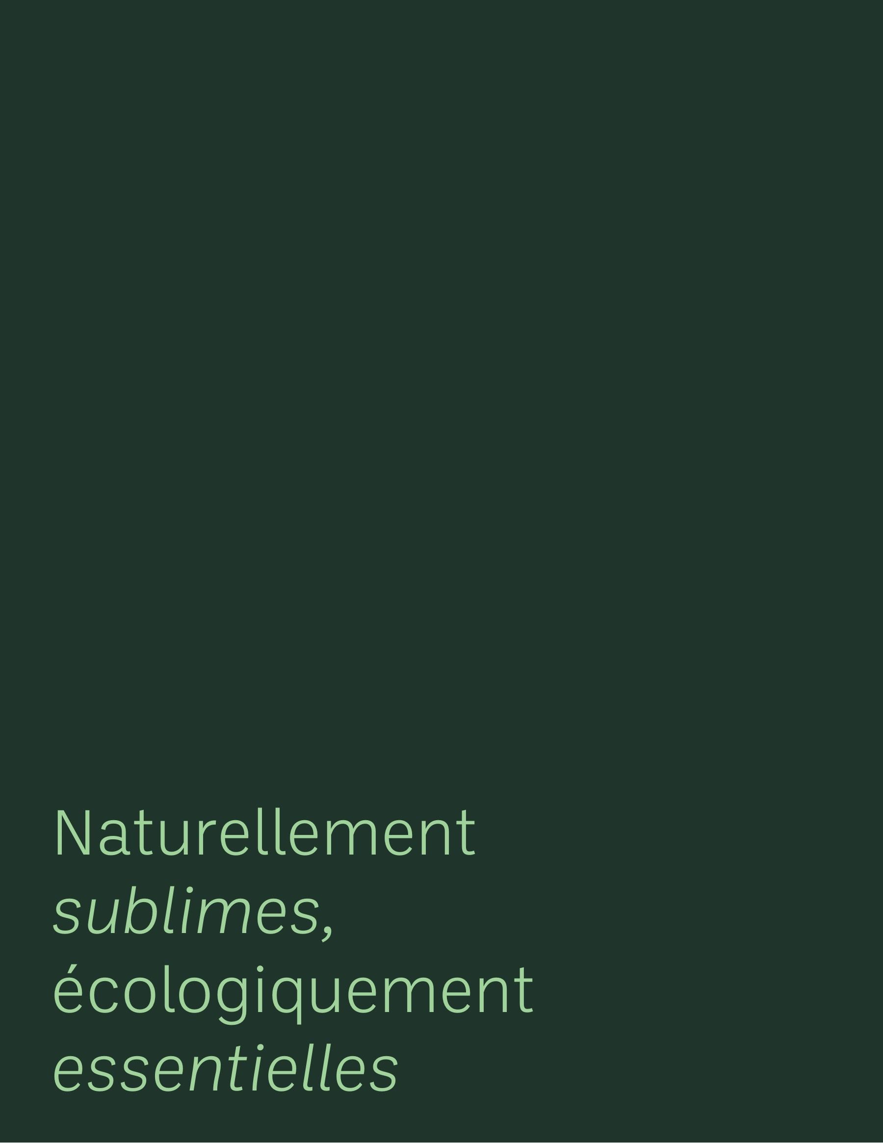 Akène Detailed Seed Catalog Flyer January 1 - December 31, 2026
