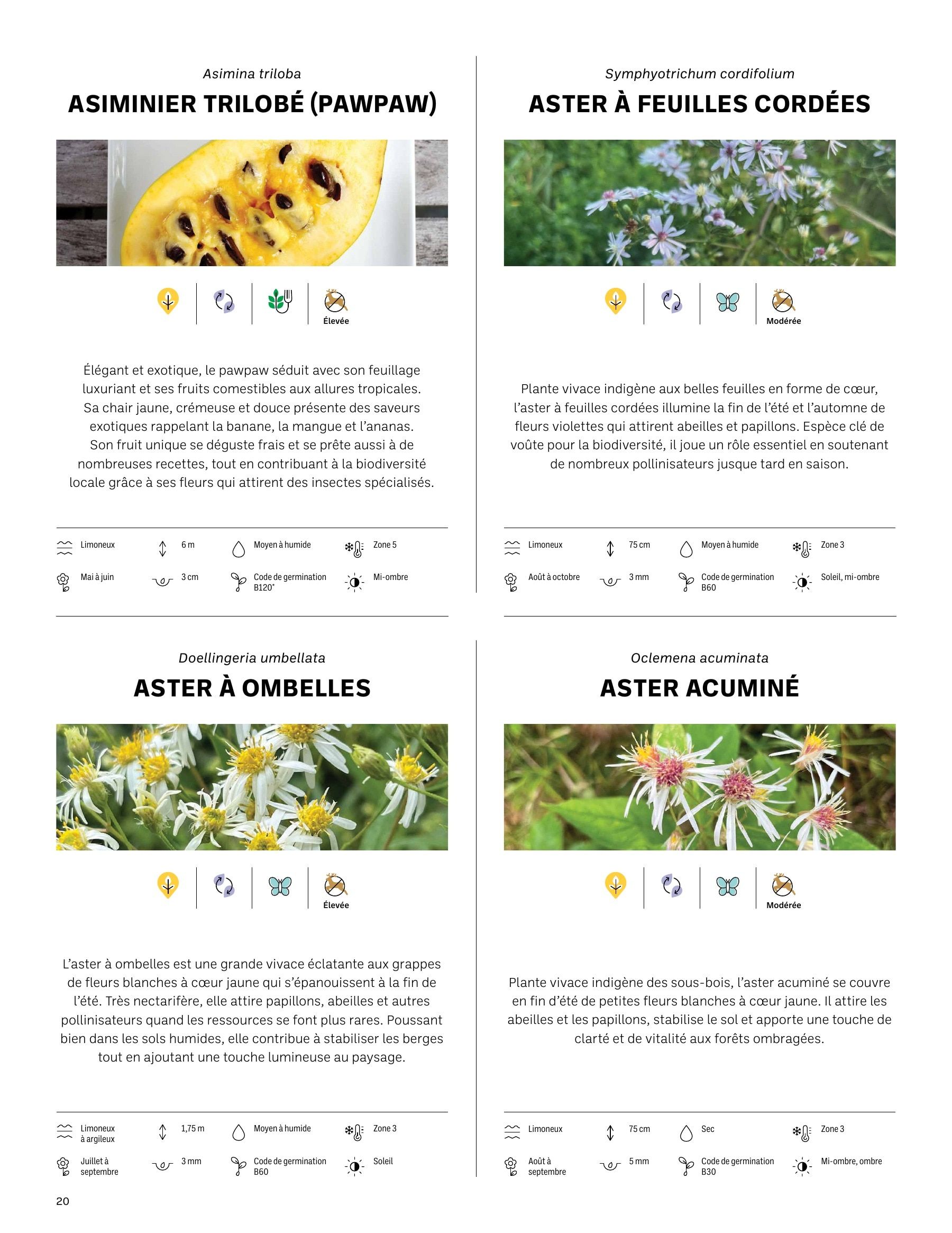 Akène Detailed Seed Catalog Flyer January 1 - December 31, 2026