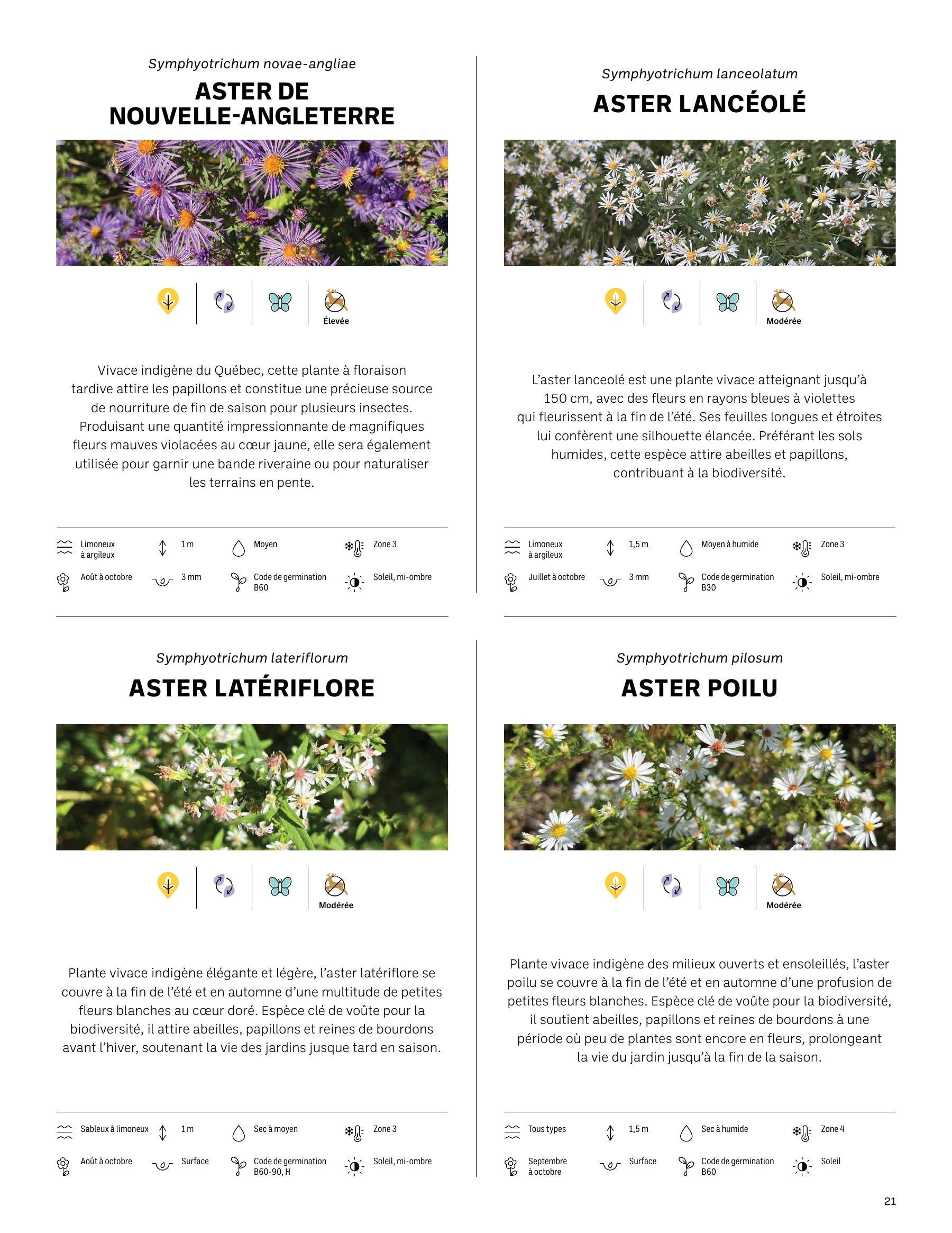 Akène Detailed Seed Catalog Flyer January 1 - December 31, 2026