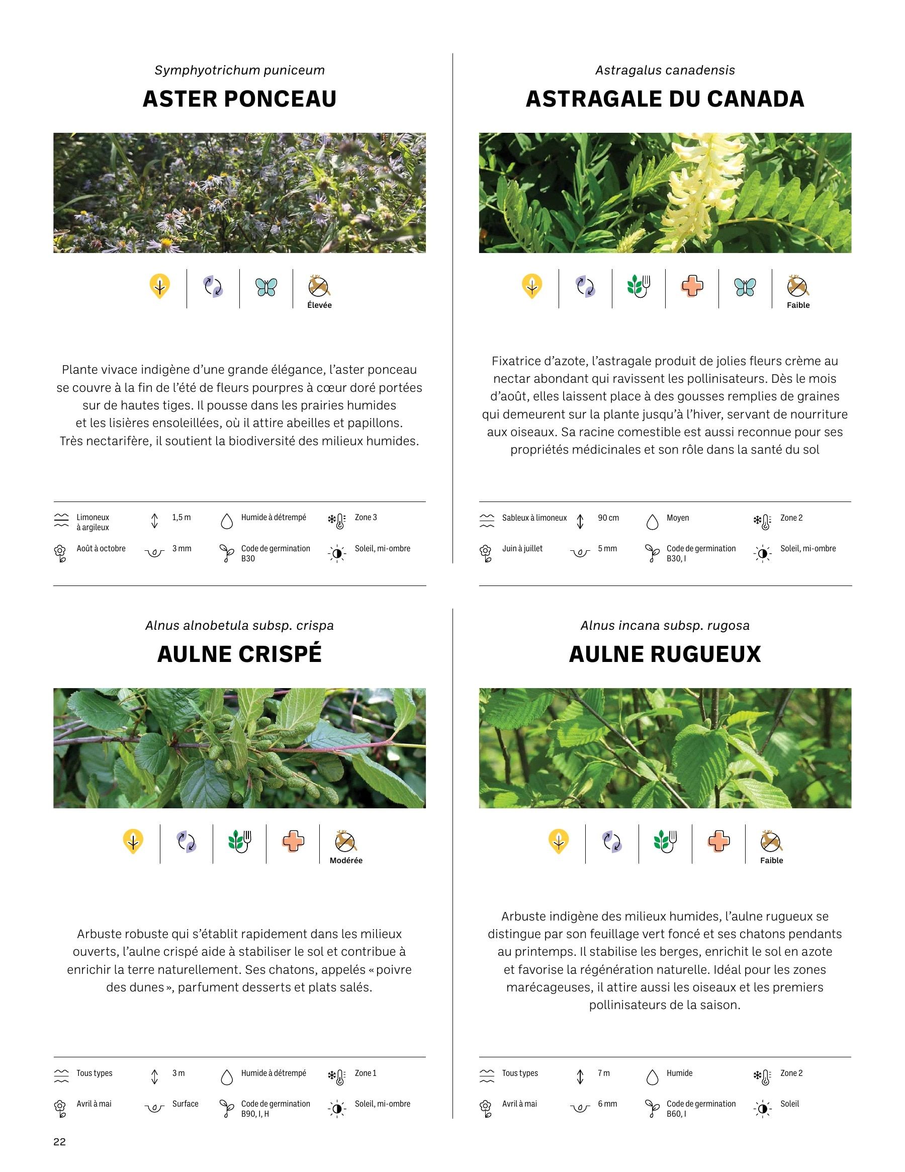 Akène Detailed Seed Catalog Flyer January 1 - December 31, 2026