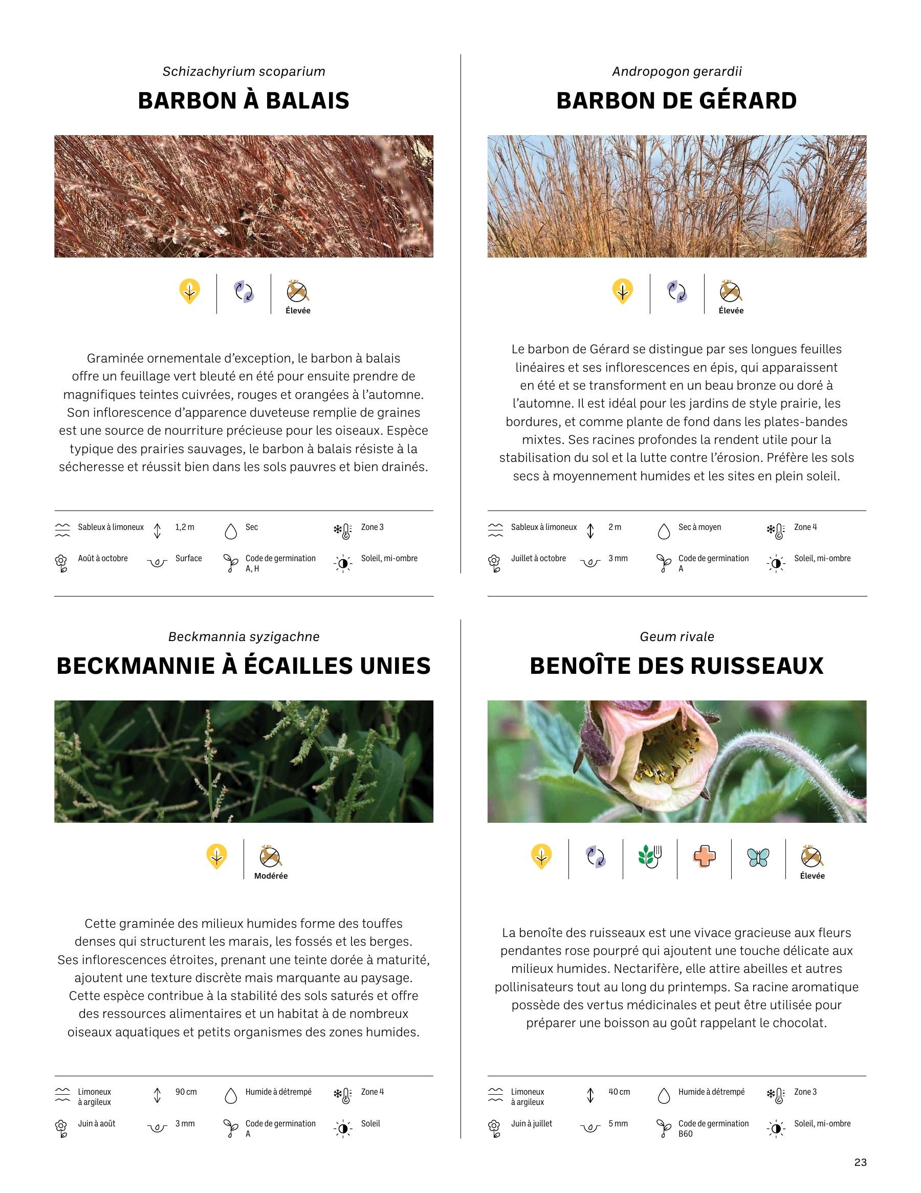 Akène Detailed Seed Catalog Flyer January 1 - December 31, 2026