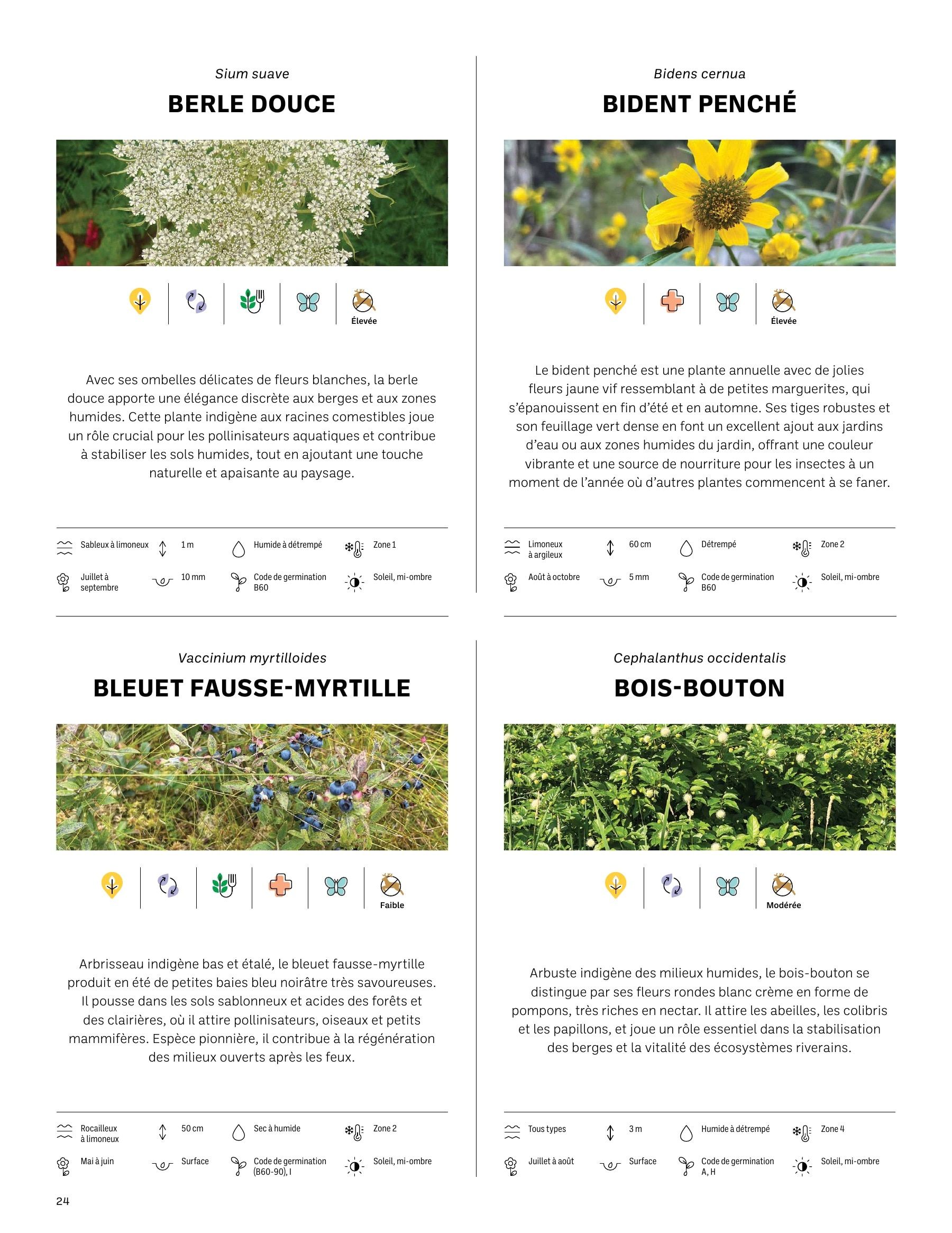Akène Detailed Seed Catalog Flyer January 1 - December 31, 2026