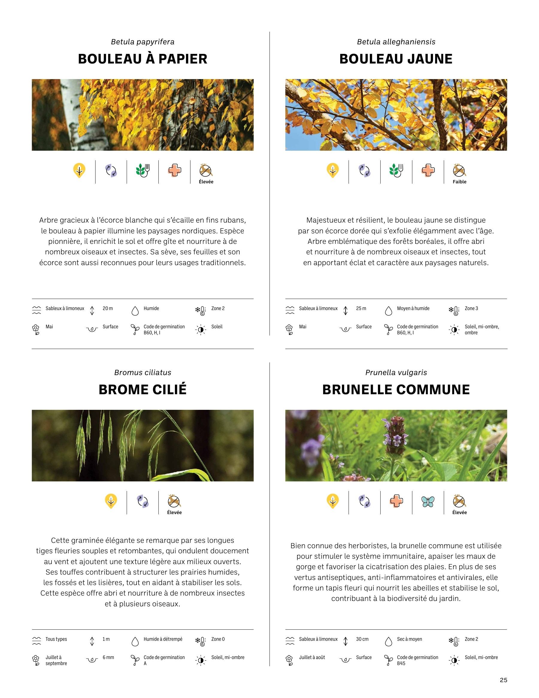 Akène Detailed Seed Catalog Flyer January 1 - December 31, 2026