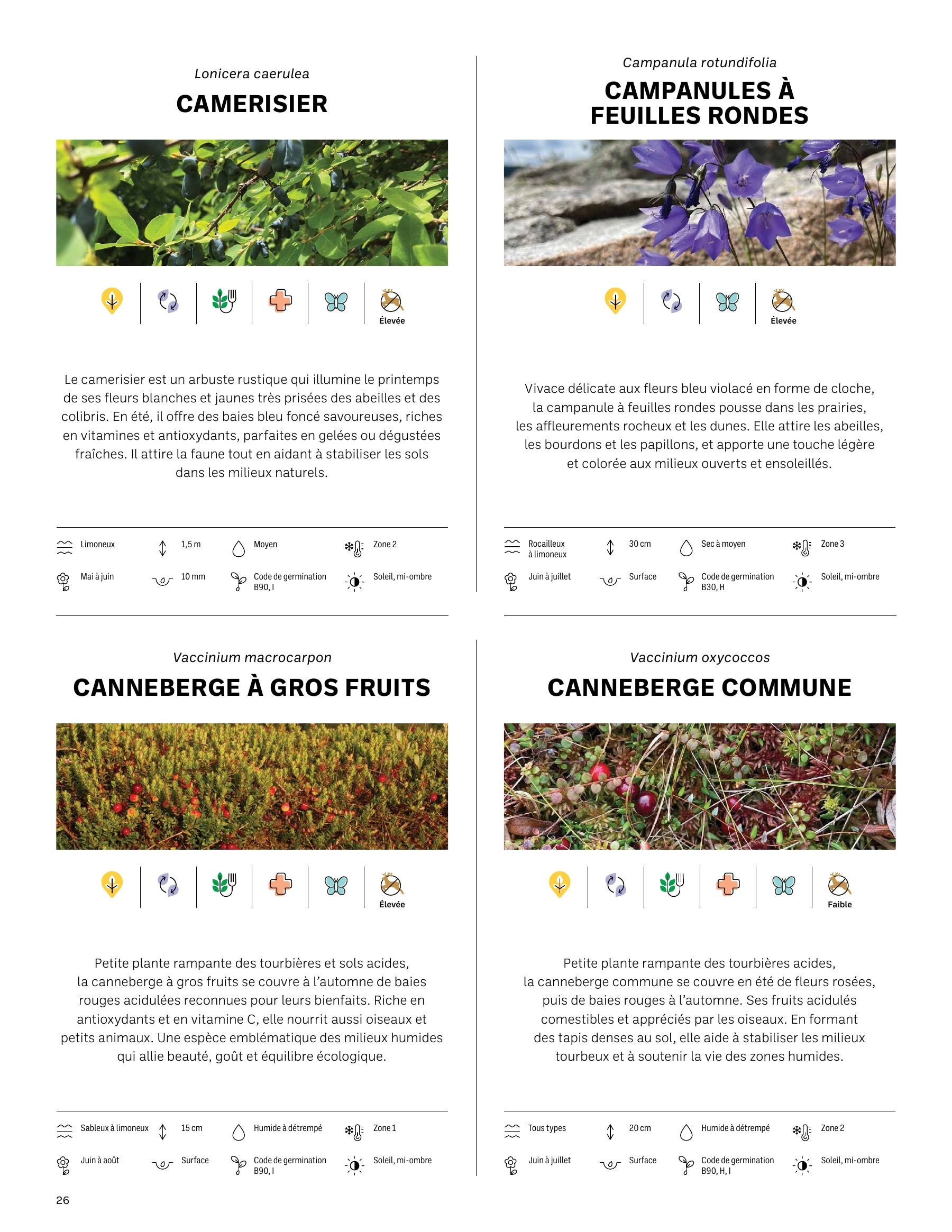 Akène Detailed Seed Catalog Flyer January 1 - December 31, 2026