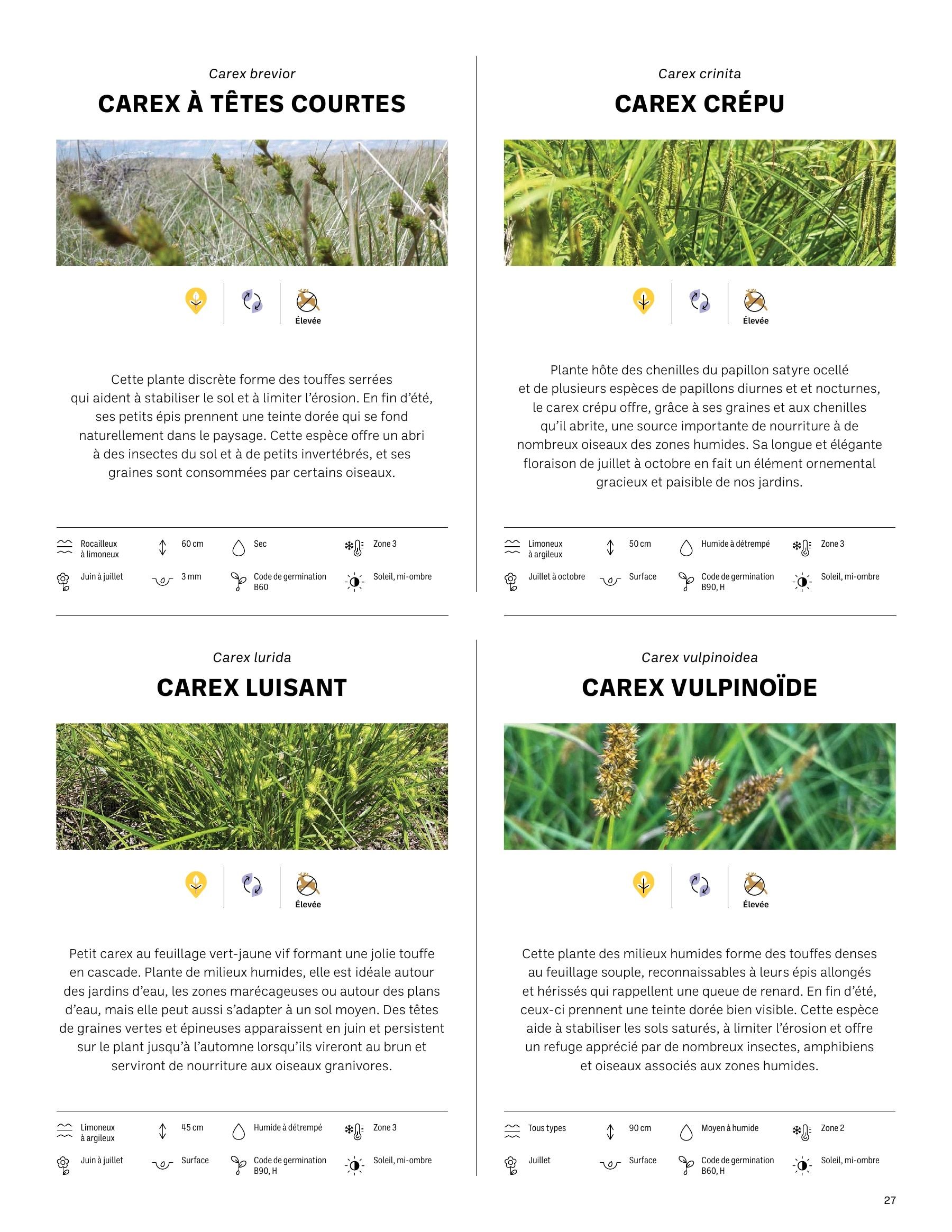 Akène Detailed Seed Catalog Flyer January 1 - December 31, 2026