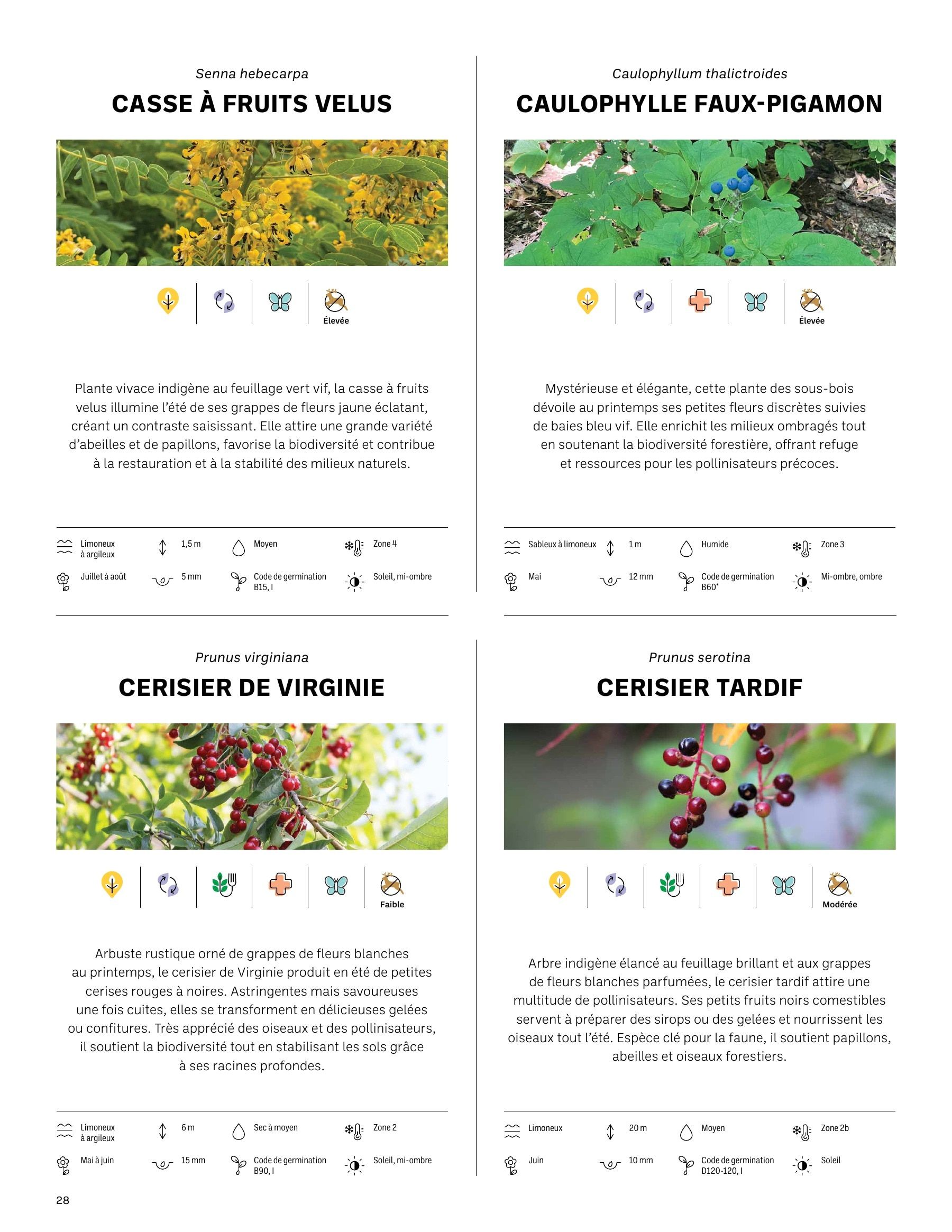 Akène Detailed Seed Catalog Flyer January 1 - December 31, 2026