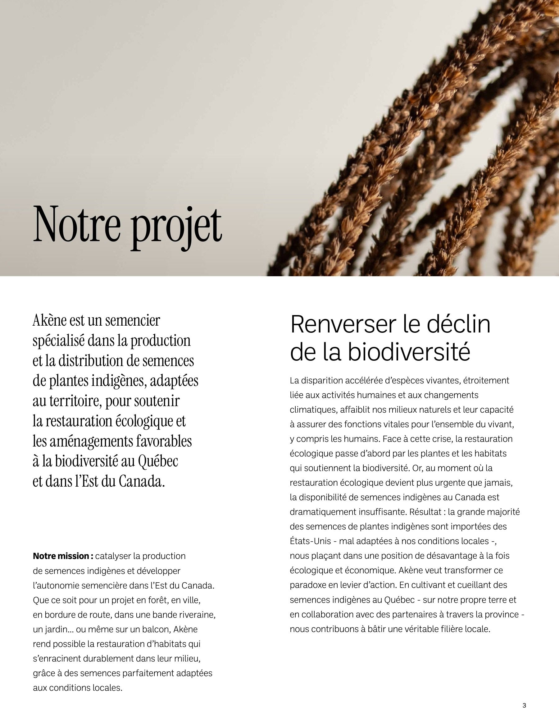 Akène Detailed Seed Catalog Flyer January 1 - December 31, 2026