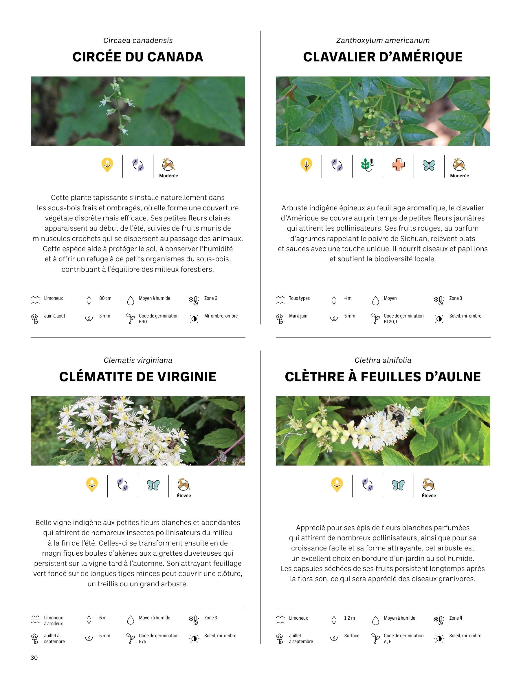 Akène Detailed Seed Catalog Flyer January 1 - December 31, 2026