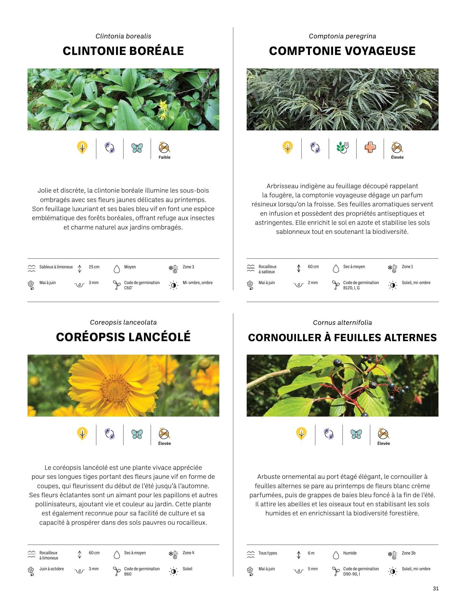 Akène Detailed Seed Catalog Flyer January 1 - December 31, 2026