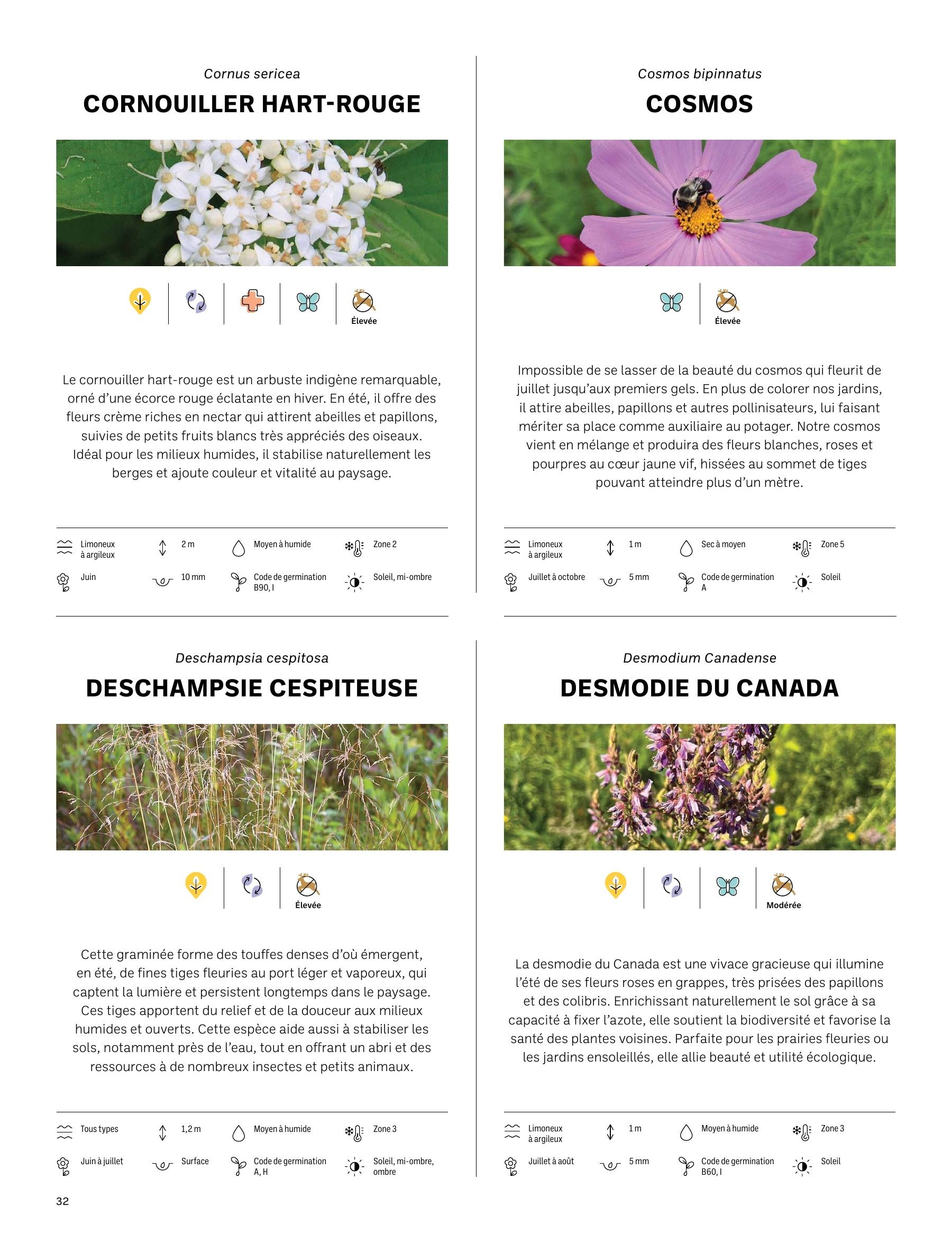 Akène Detailed Seed Catalog Flyer January 1 - December 31, 2026