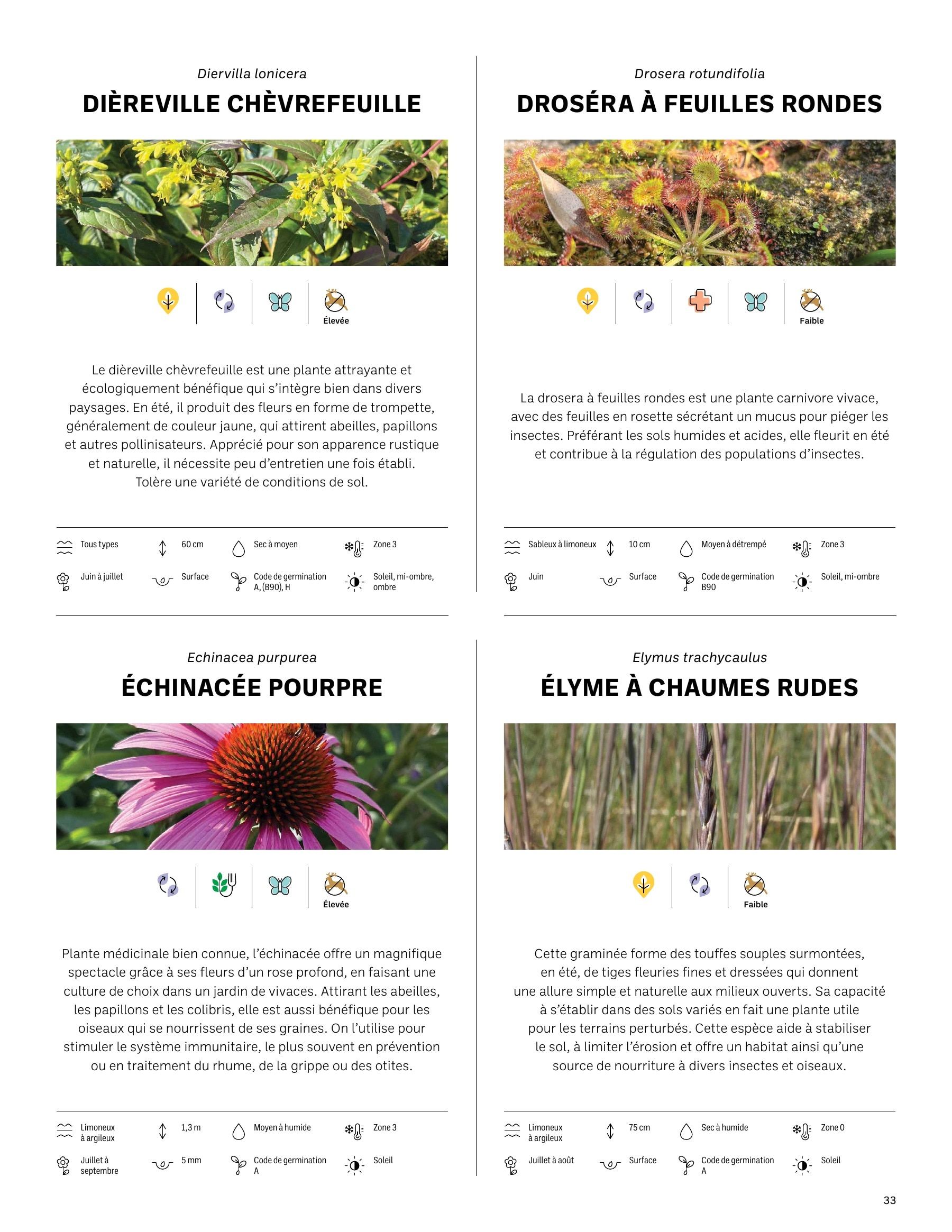 Akène Detailed Seed Catalog Flyer January 1 - December 31, 2026