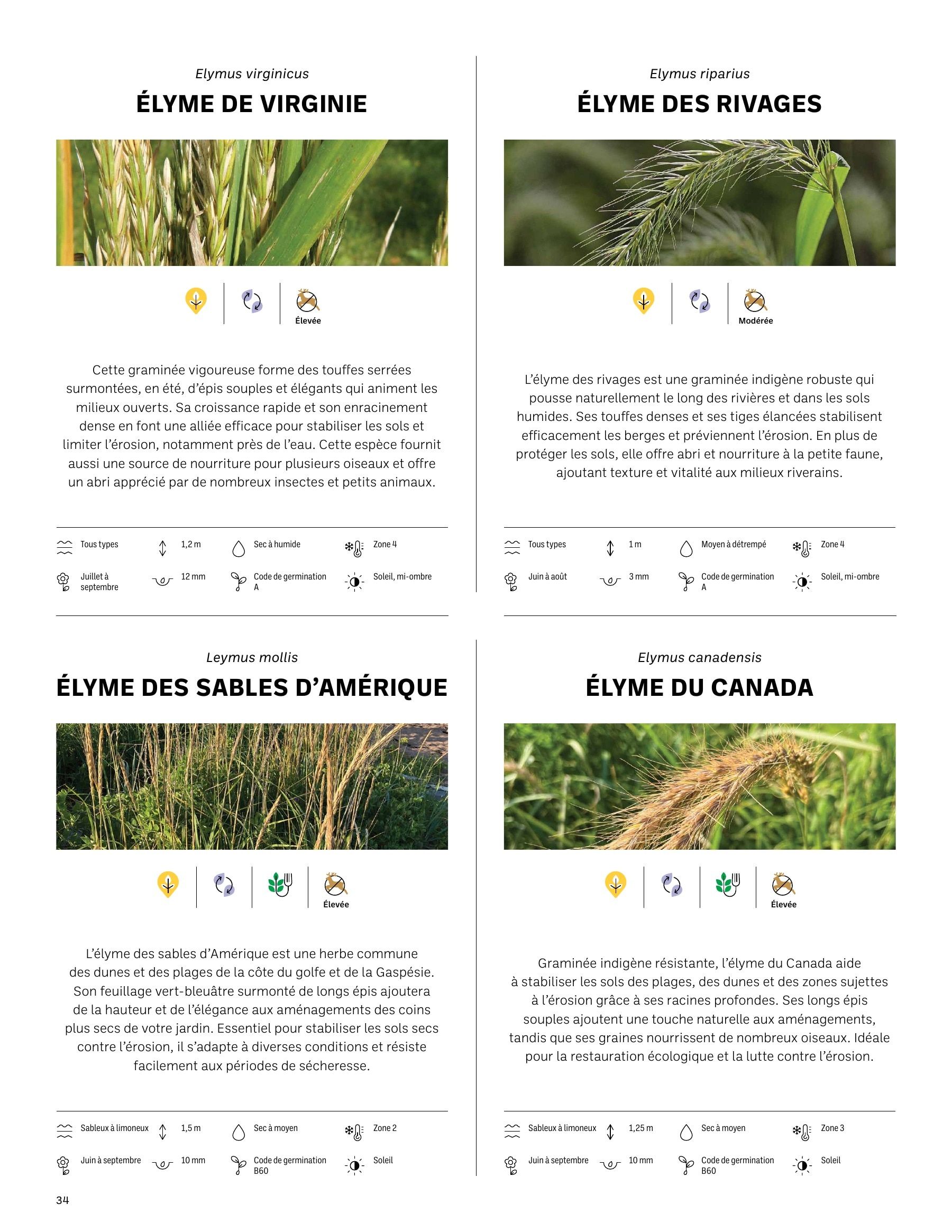 Akène Detailed Seed Catalog Flyer January 1 - December 31, 2026