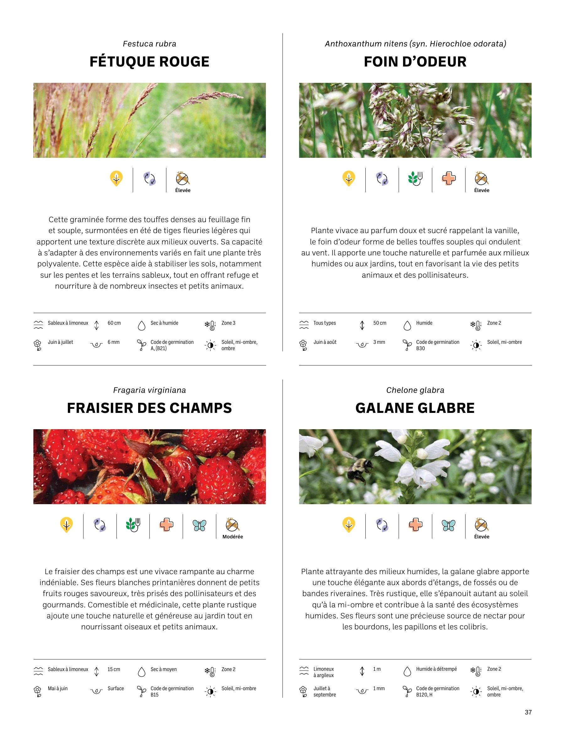 Akène Detailed Seed Catalog Flyer January 1 - December 31, 2026