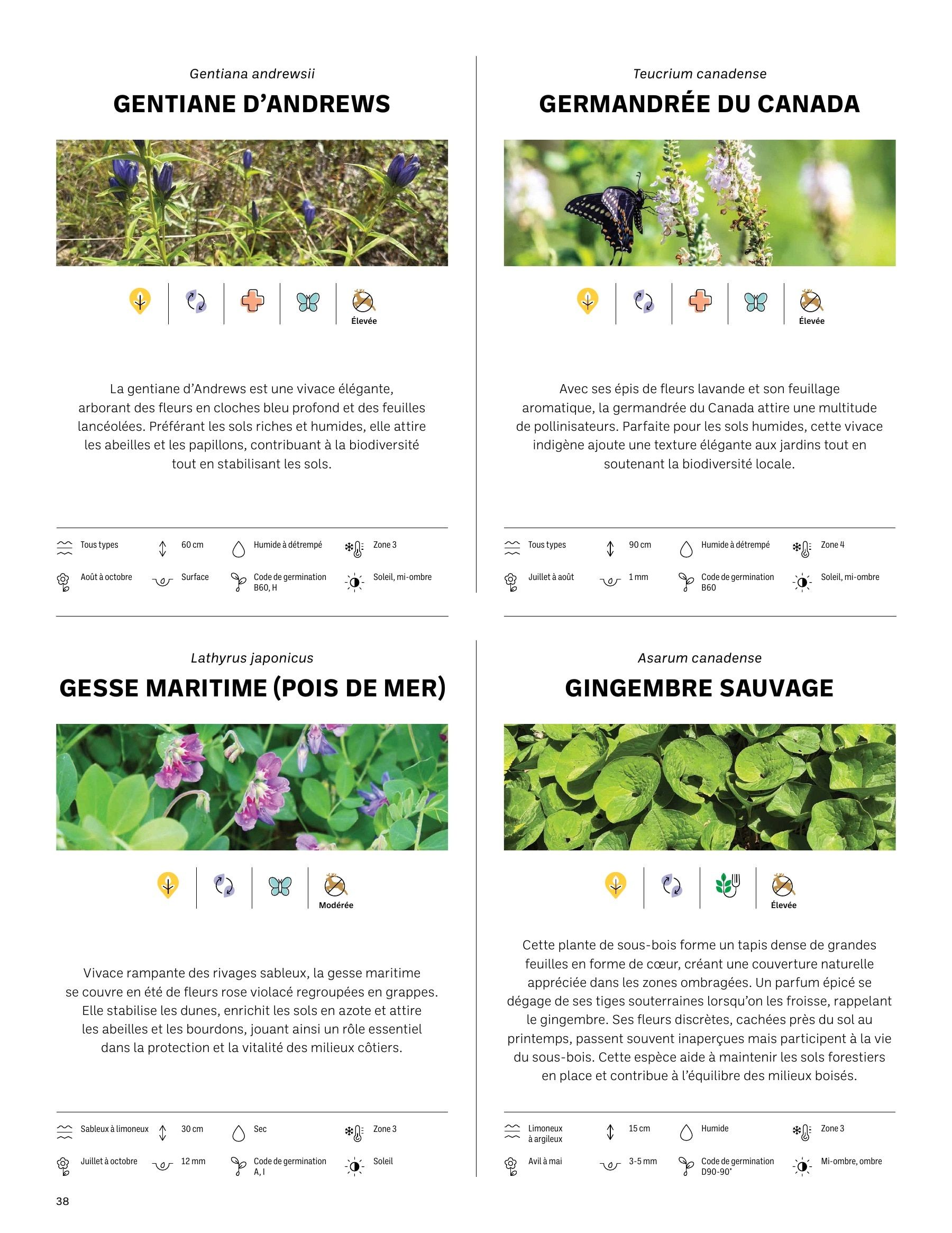 Akène Detailed Seed Catalog Flyer January 1 - December 31, 2026