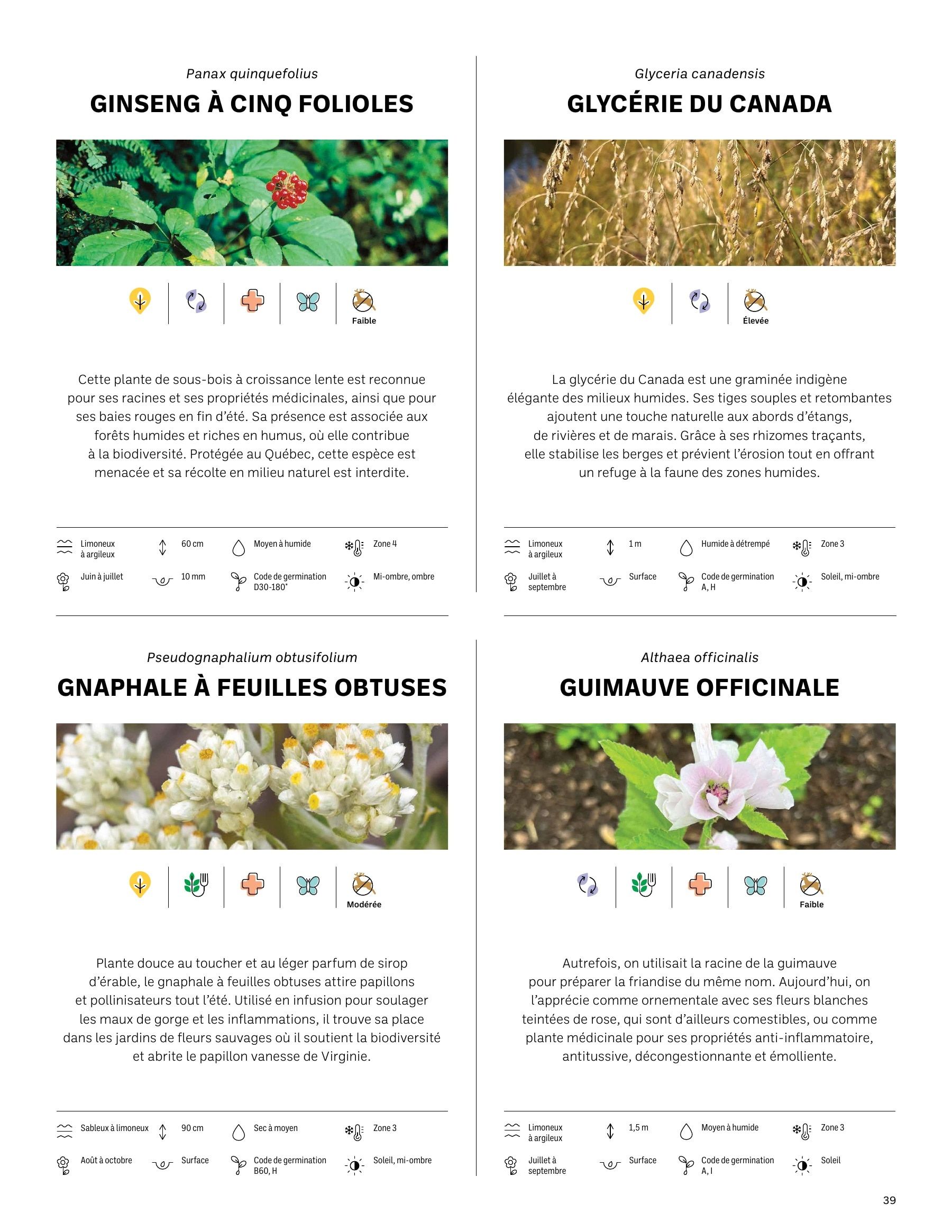 Akène Detailed Seed Catalog Flyer January 1 - December 31, 2026