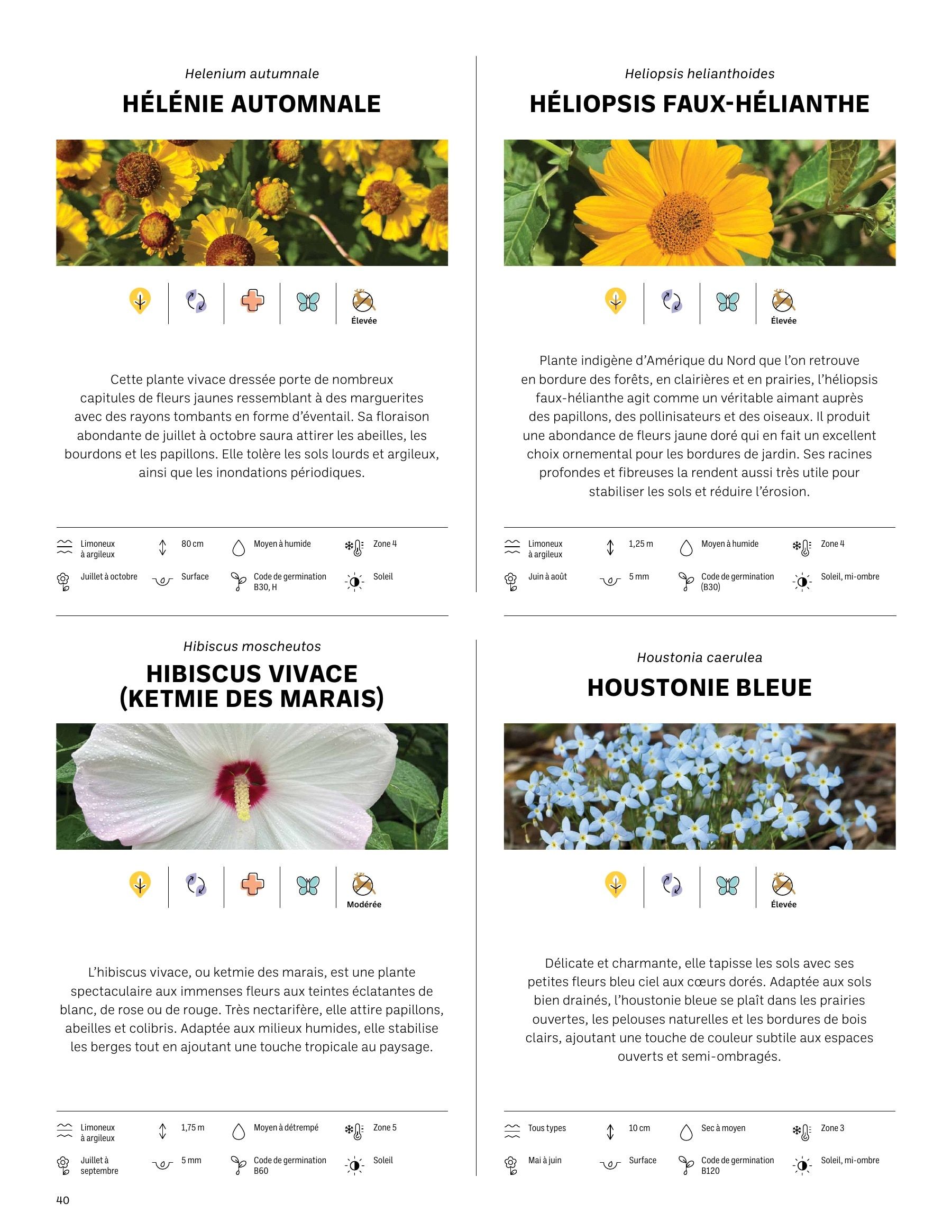 Akène Detailed Seed Catalog Flyer January 1 - December 31, 2026