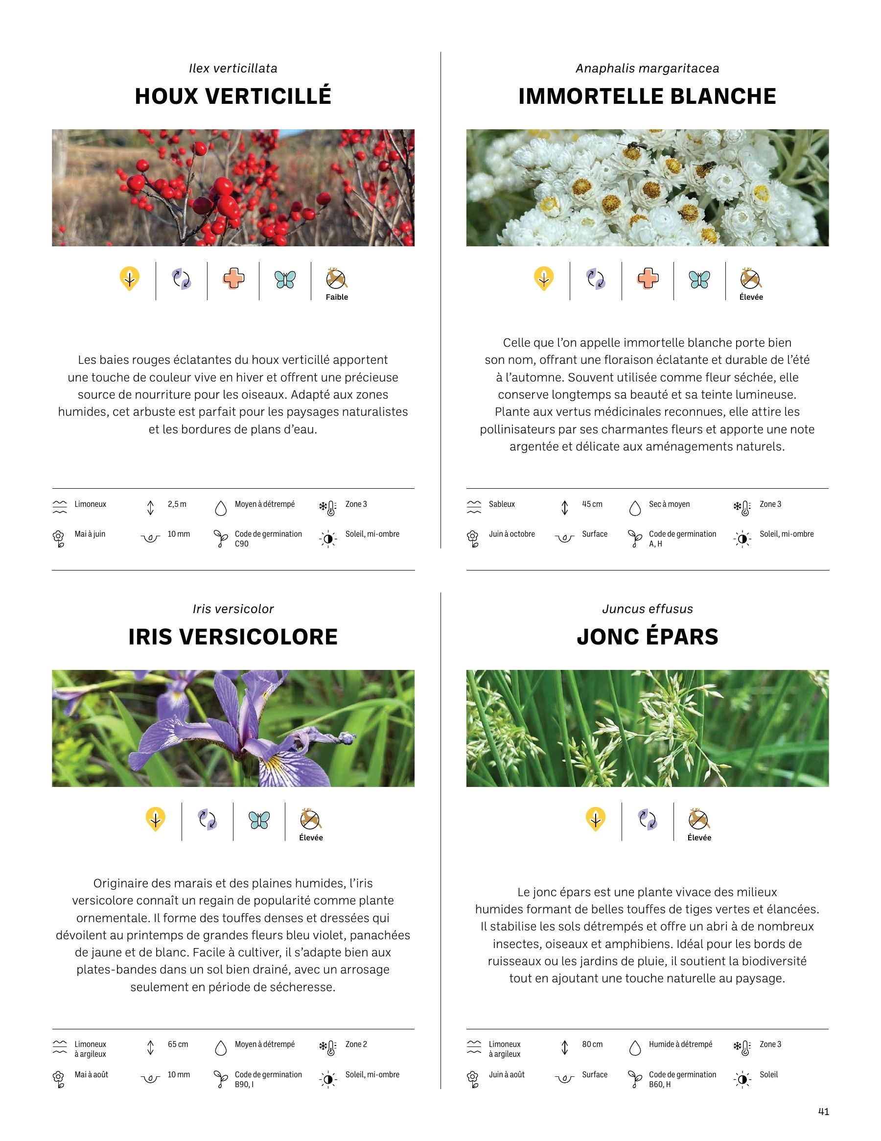 Akène Detailed Seed Catalog Flyer January 1 - December 31, 2026