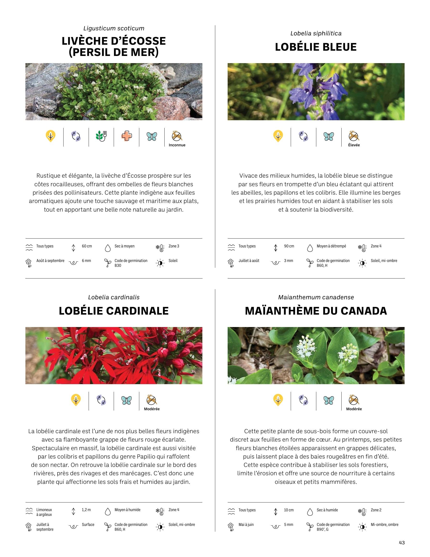 Akène Detailed Seed Catalog Flyer January 1 - December 31, 2026