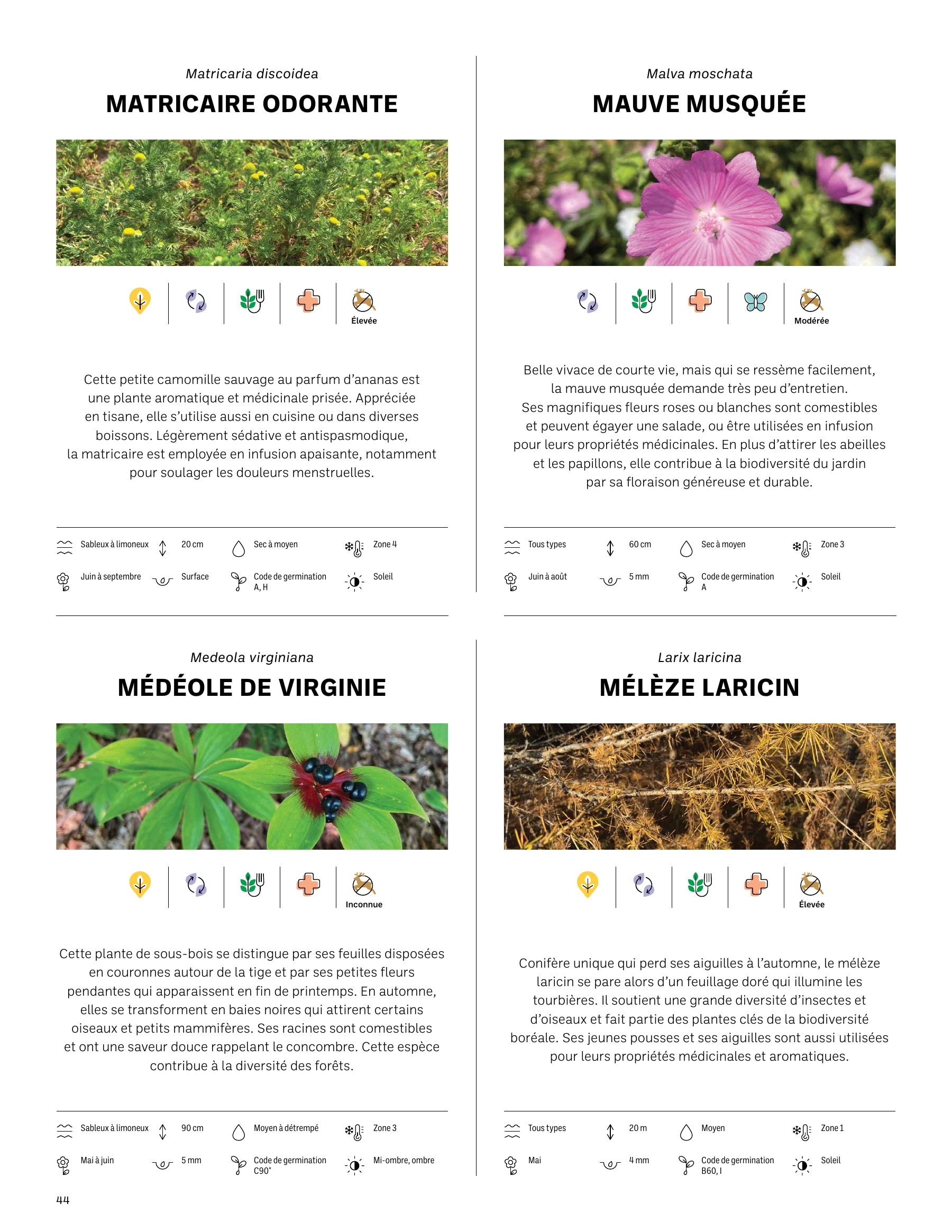 Akène Detailed Seed Catalog Flyer January 1 - December 31, 2026