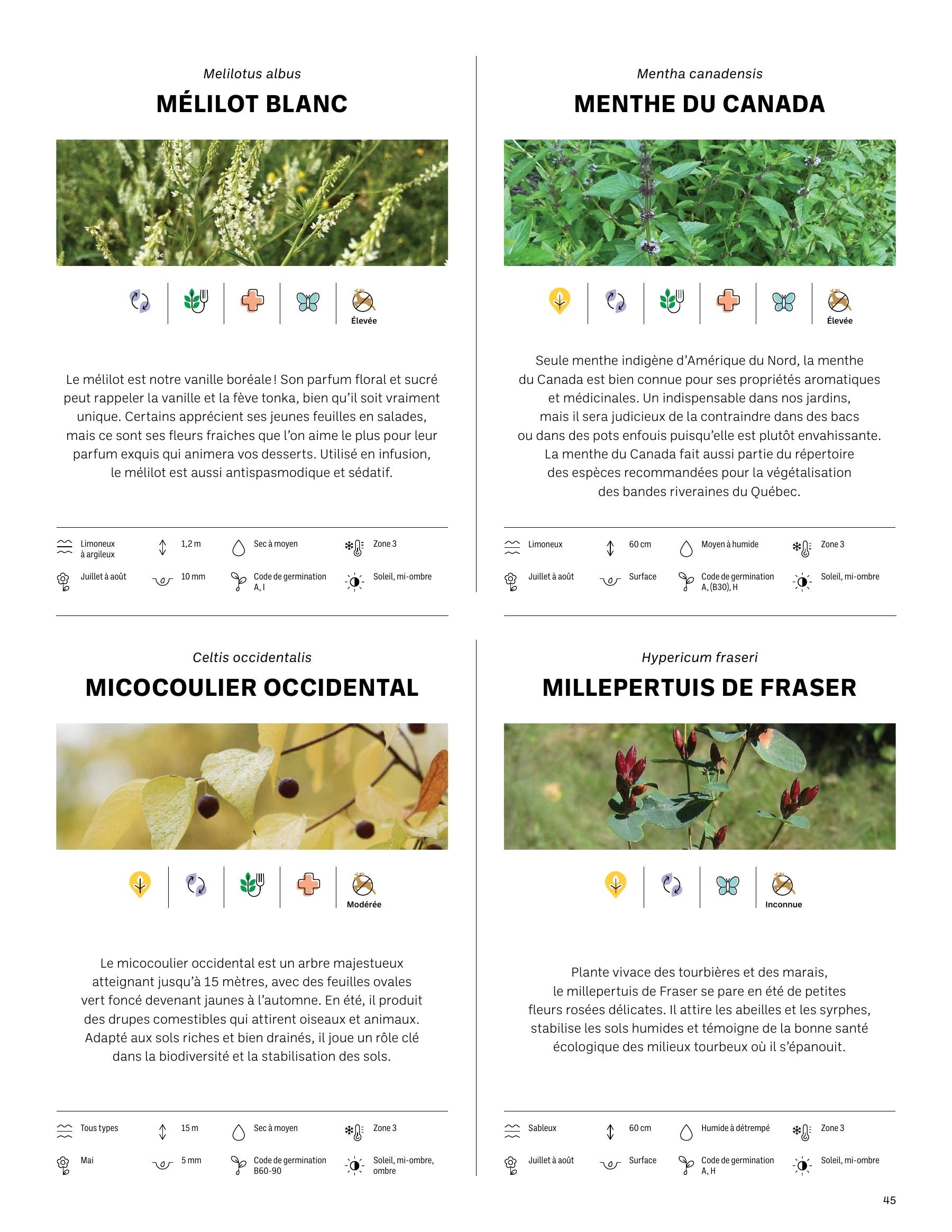 Akène Detailed Seed Catalog Flyer January 1 - December 31, 2026
