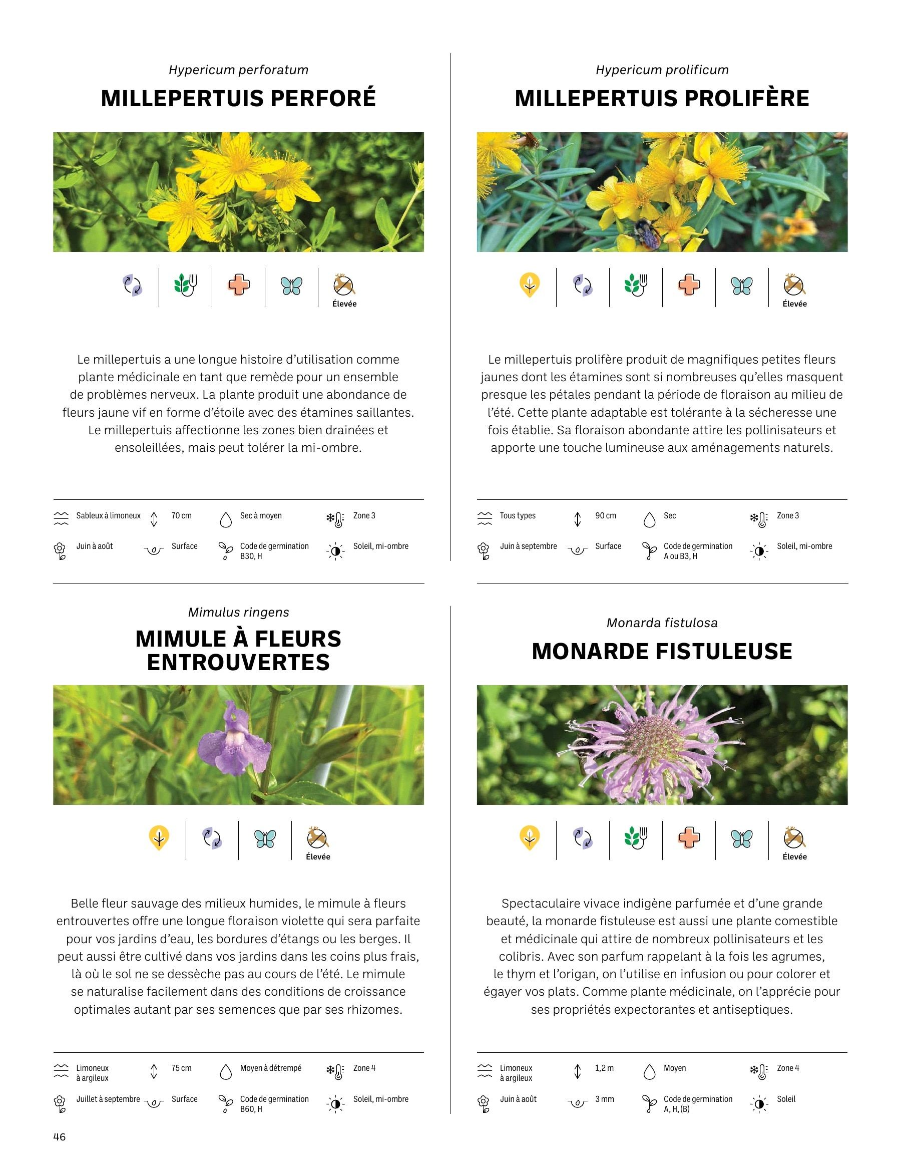 Akène Detailed Seed Catalog Flyer January 1 - December 31, 2026
