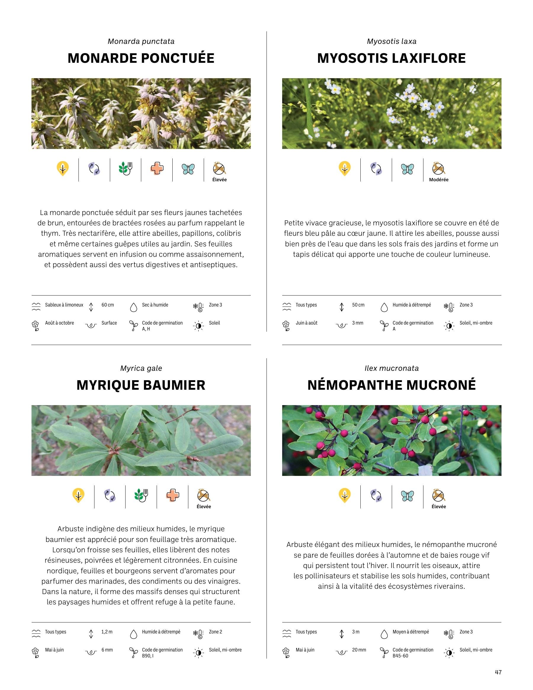 Akène Detailed Seed Catalog Flyer January 1 - December 31, 2026