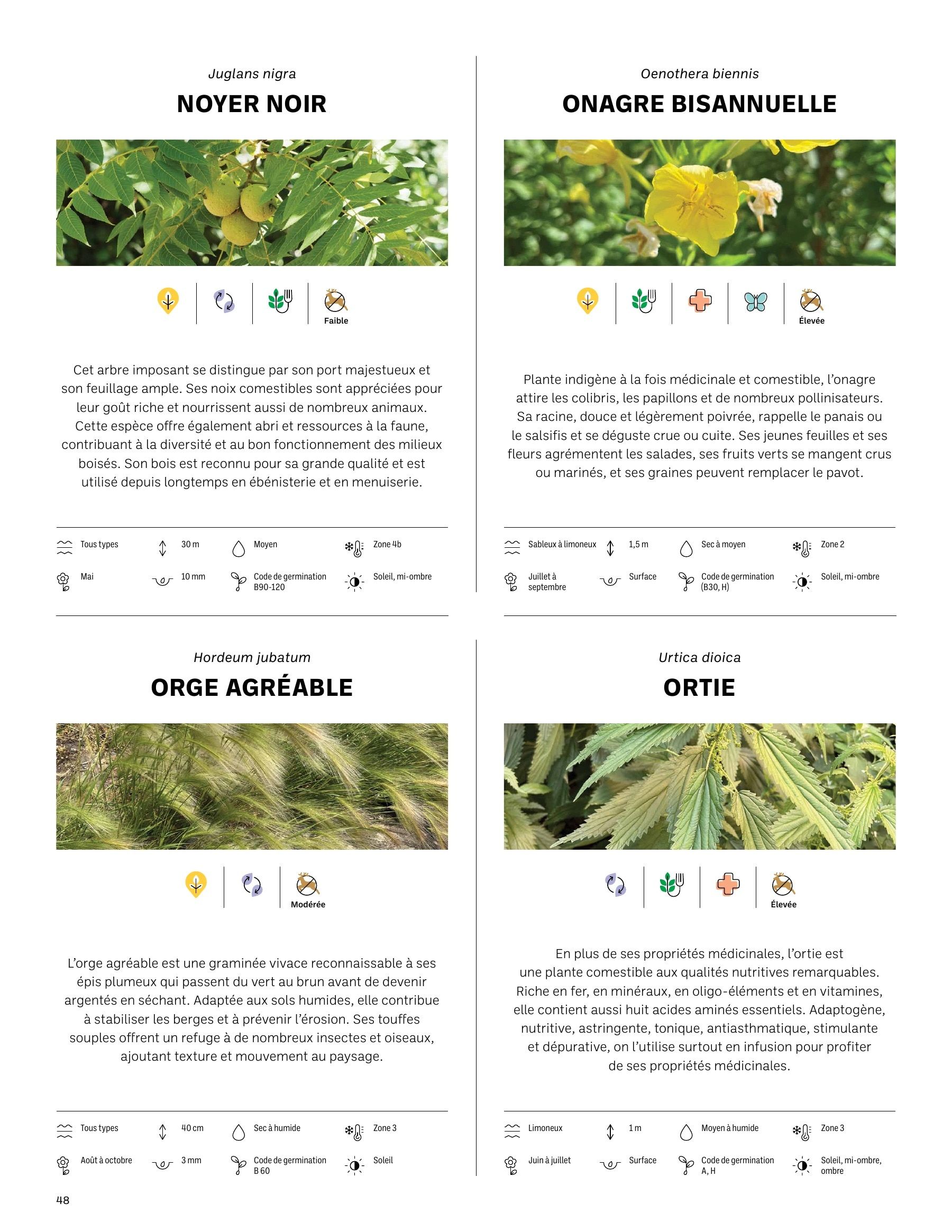 Akène Detailed Seed Catalog Flyer January 1 - December 31, 2026