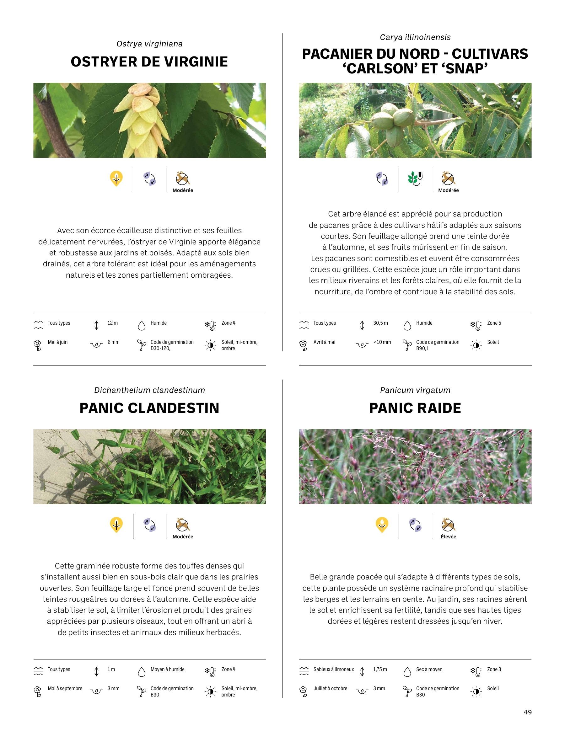 Akène Detailed Seed Catalog Flyer January 1 - December 31, 2026