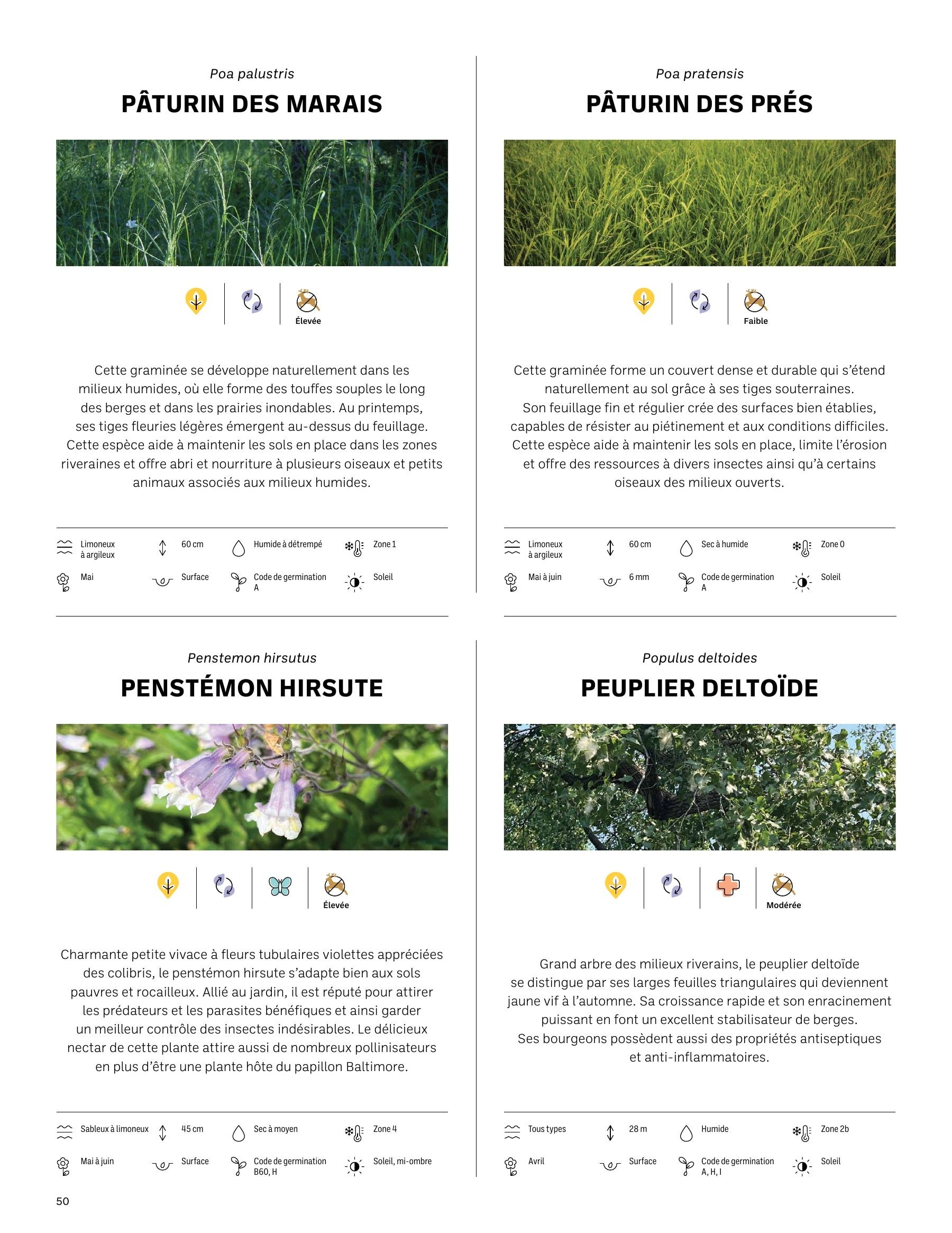 Akène Detailed Seed Catalog Flyer January 1 - December 31, 2026