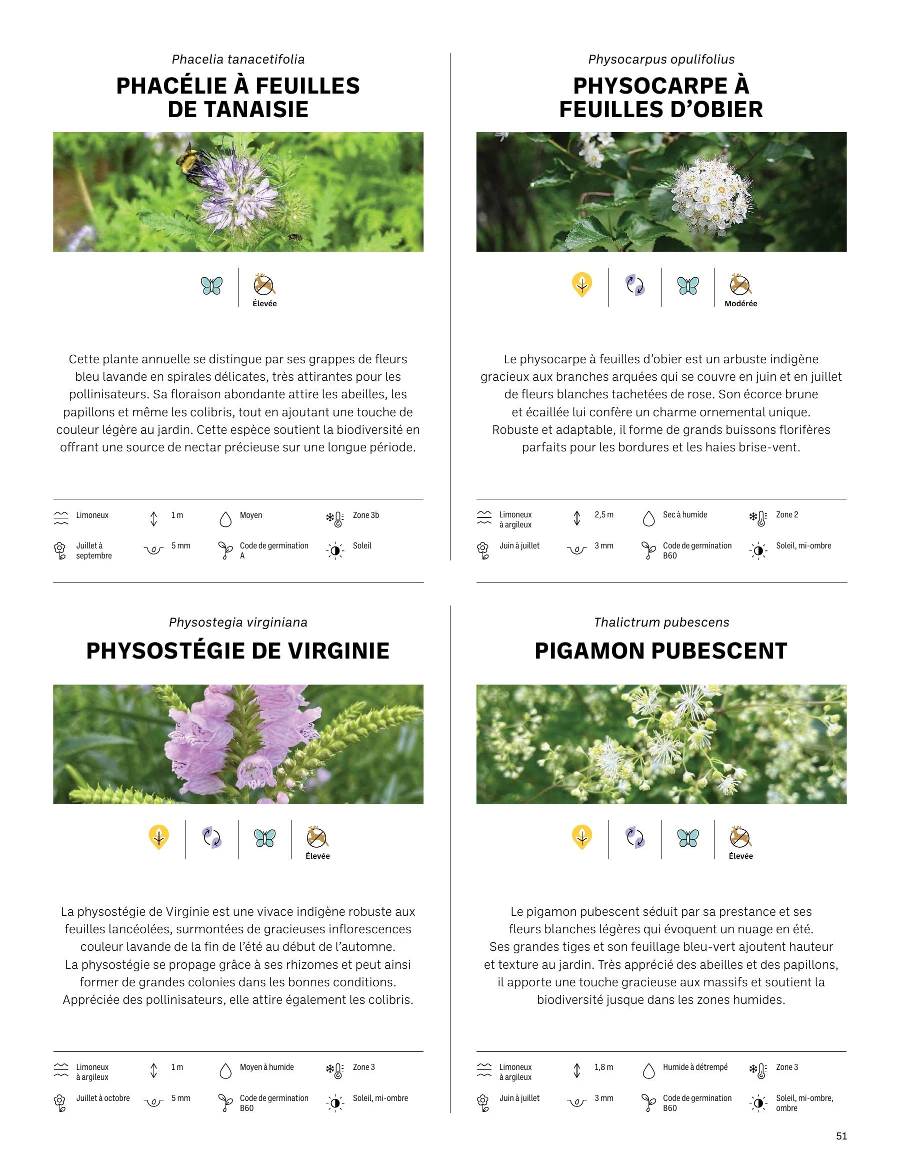 Akène Detailed Seed Catalog Flyer January 1 - December 31, 2026