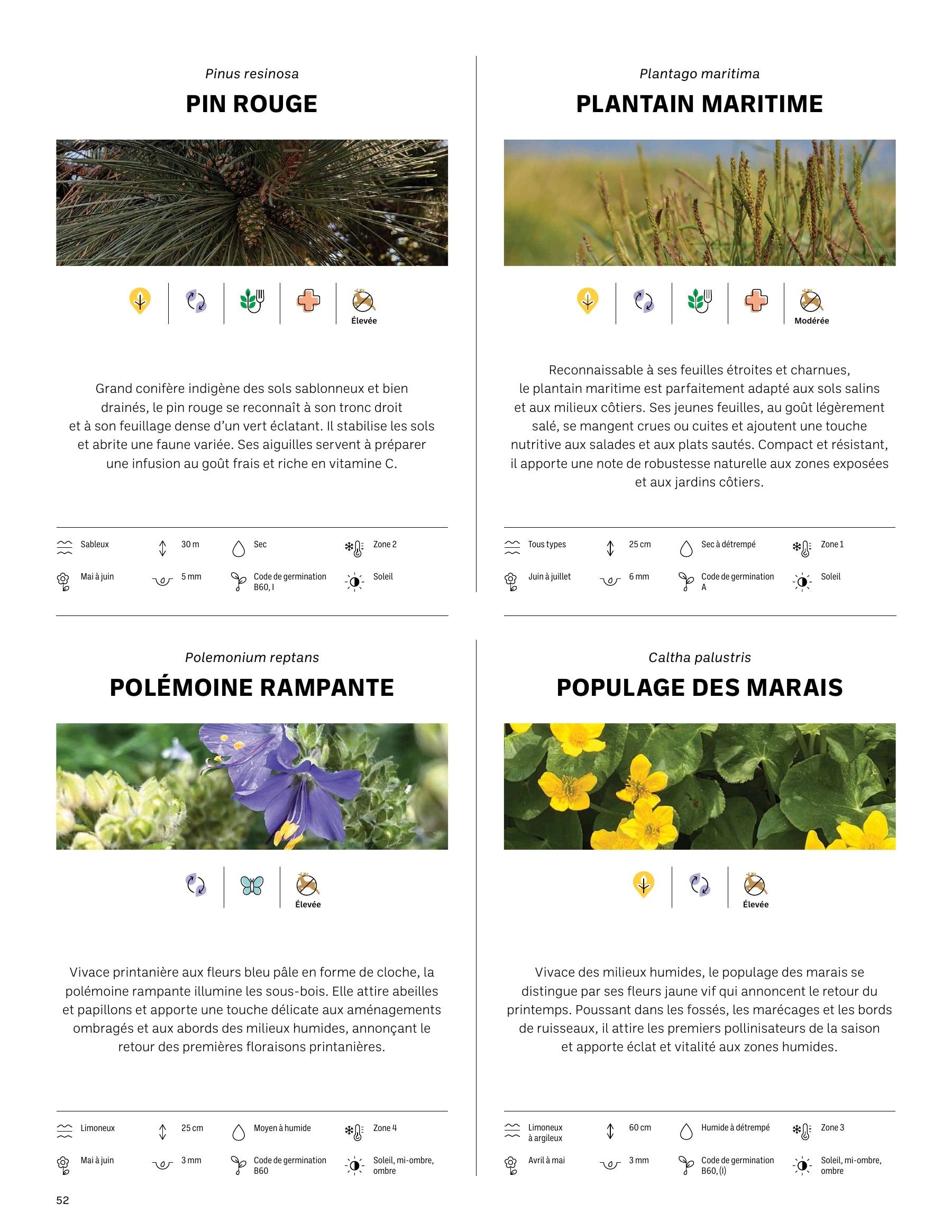 Akène Detailed Seed Catalog Flyer January 1 - December 31, 2026