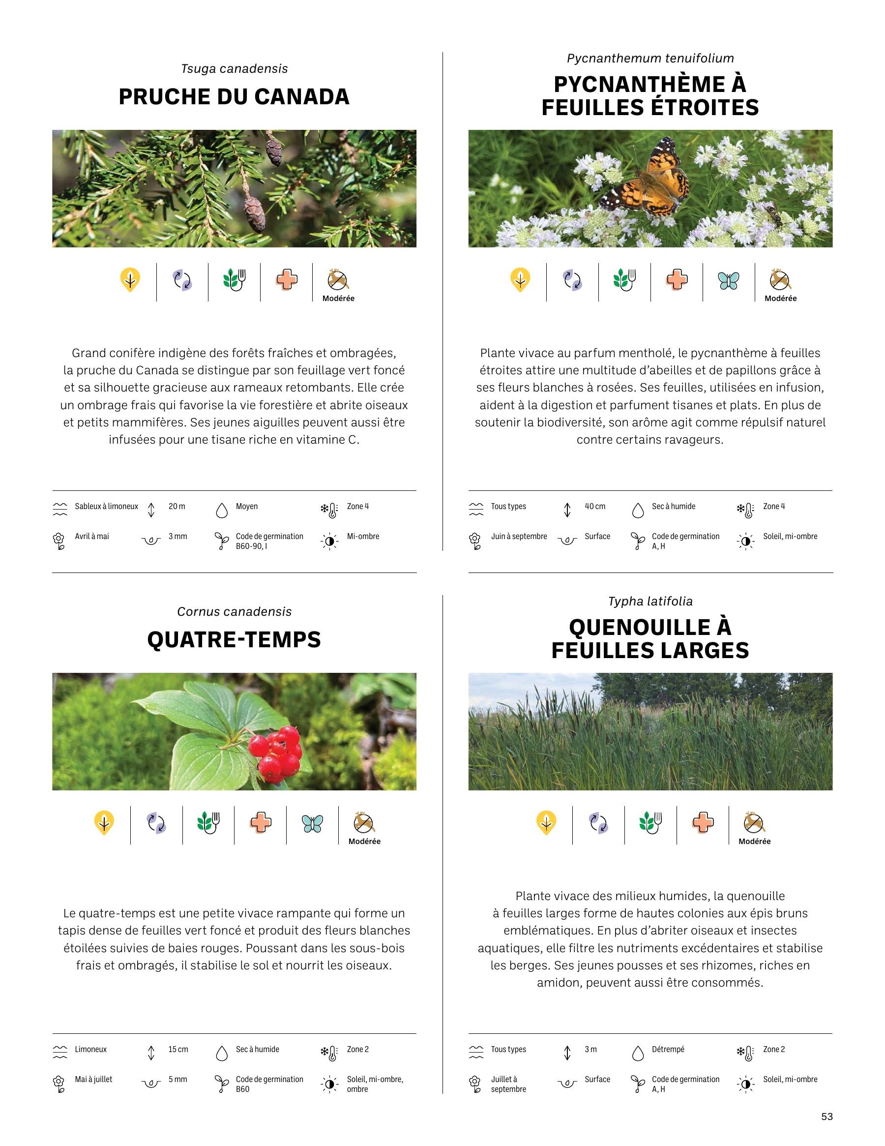 Akène Detailed Seed Catalog Flyer January 1 - December 31, 2026