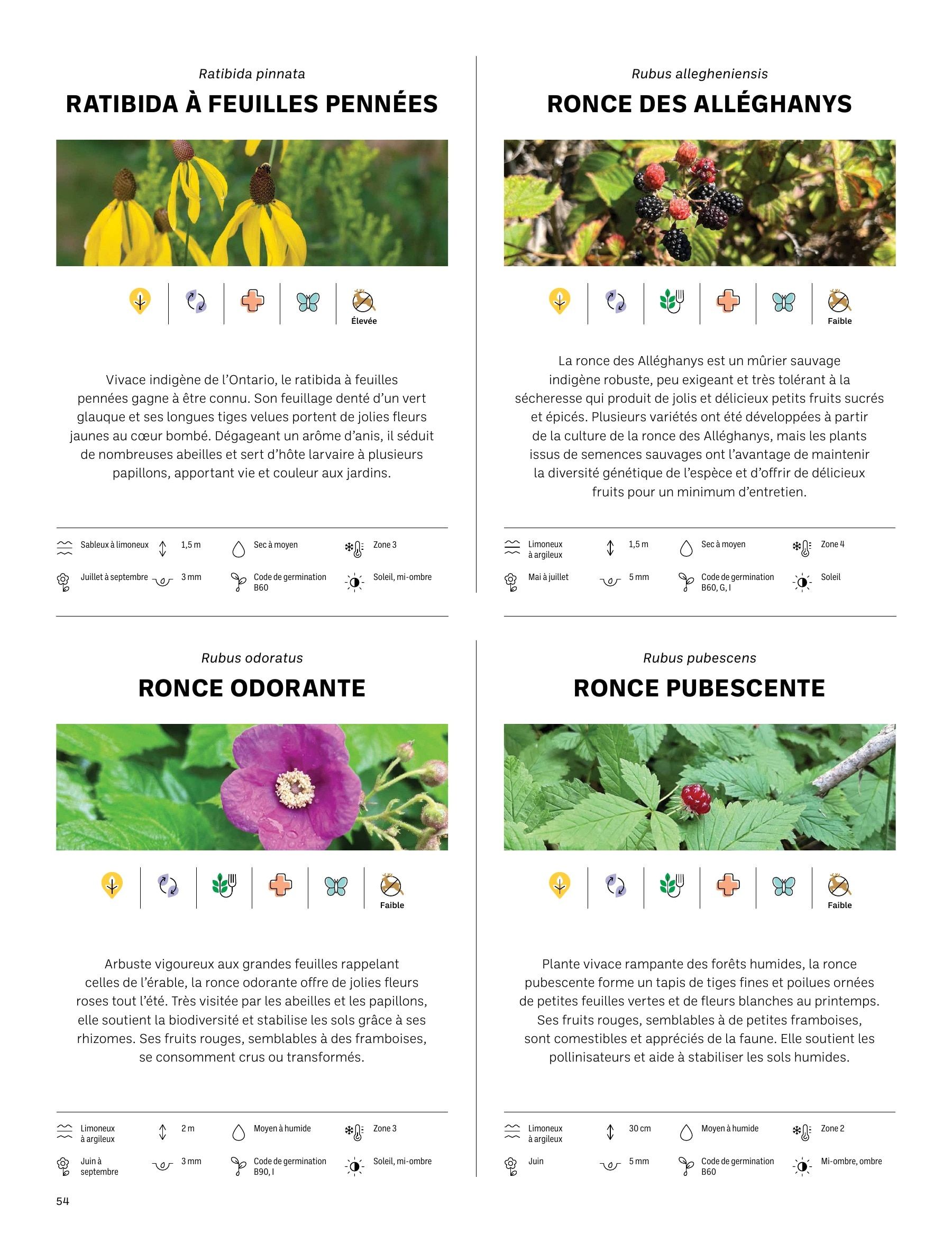Akène Detailed Seed Catalog Flyer January 1 - December 31, 2026
