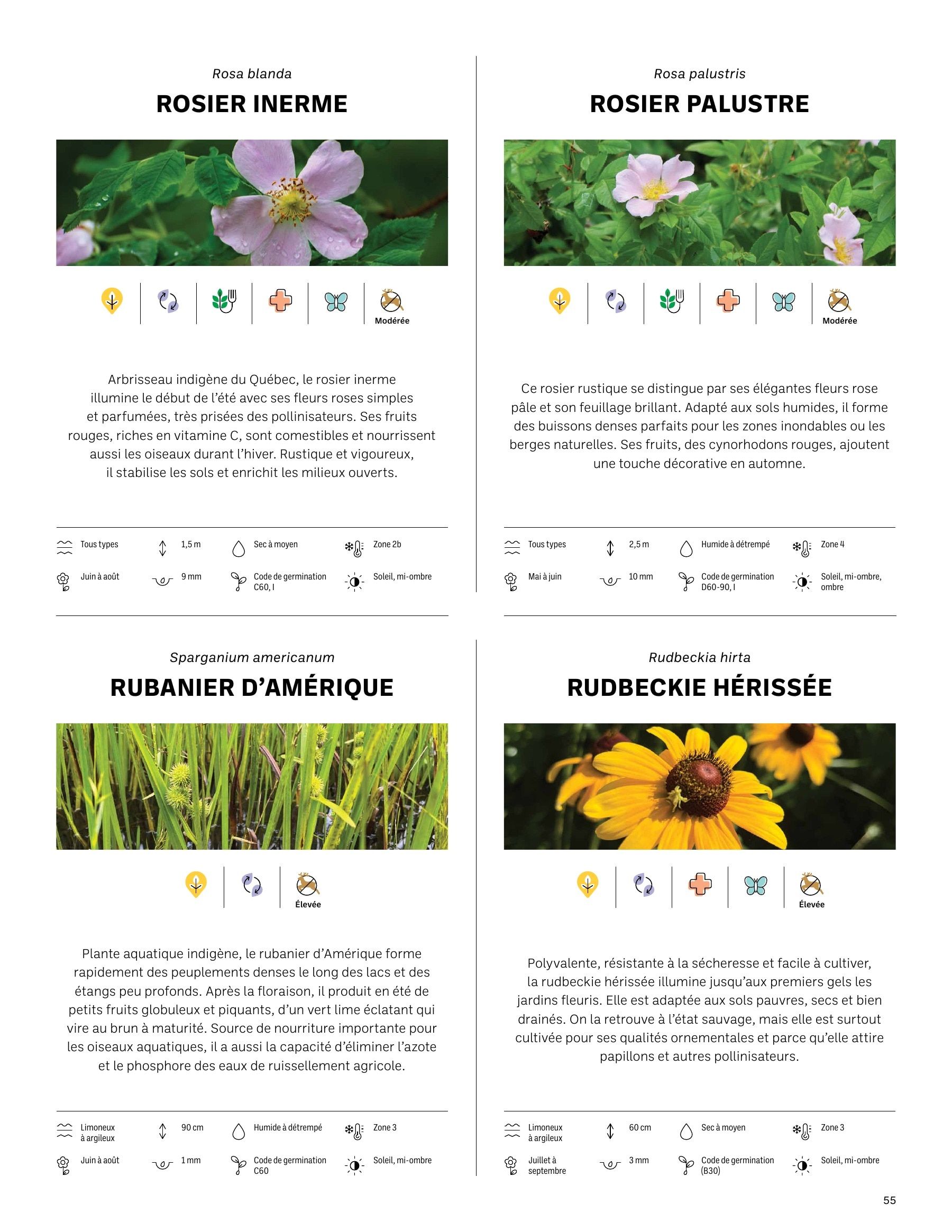 Akène Detailed Seed Catalog Flyer January 1 - December 31, 2026