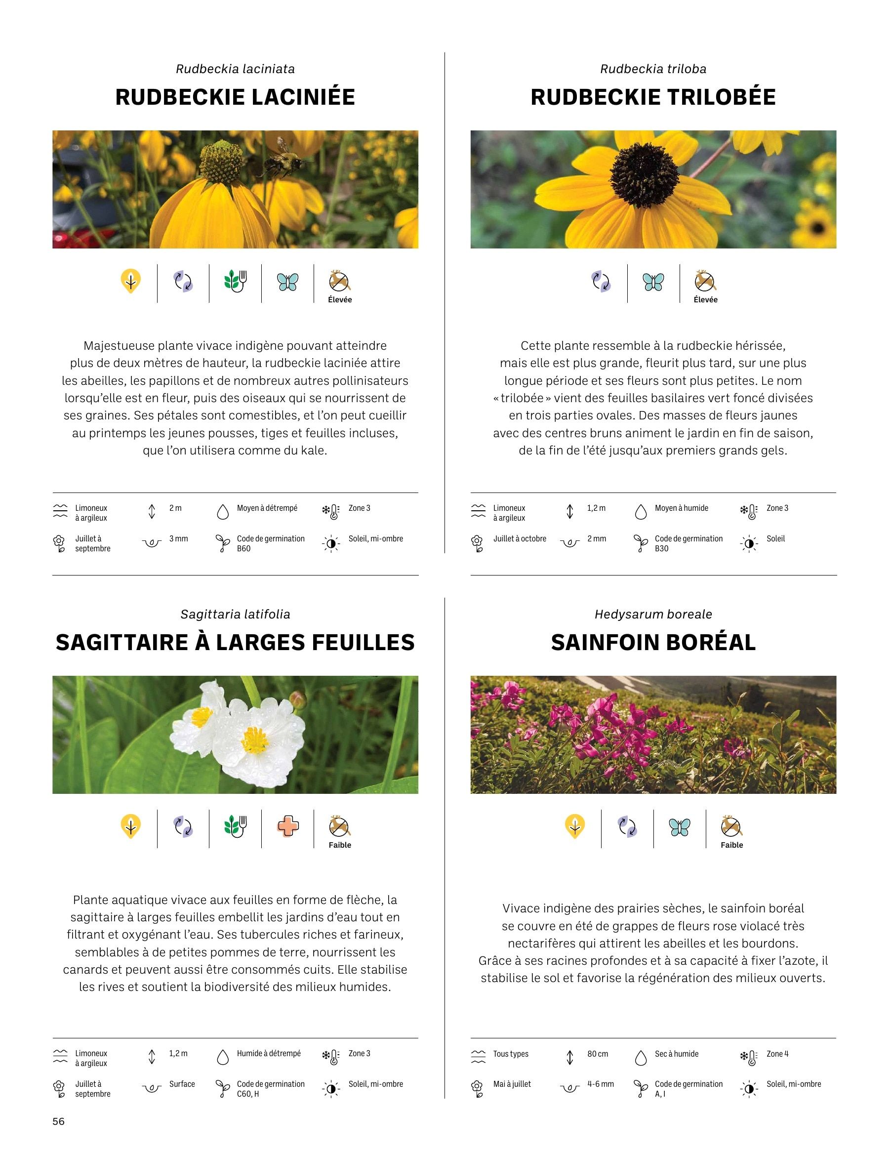 Akène Detailed Seed Catalog Flyer January 1 - December 31, 2026