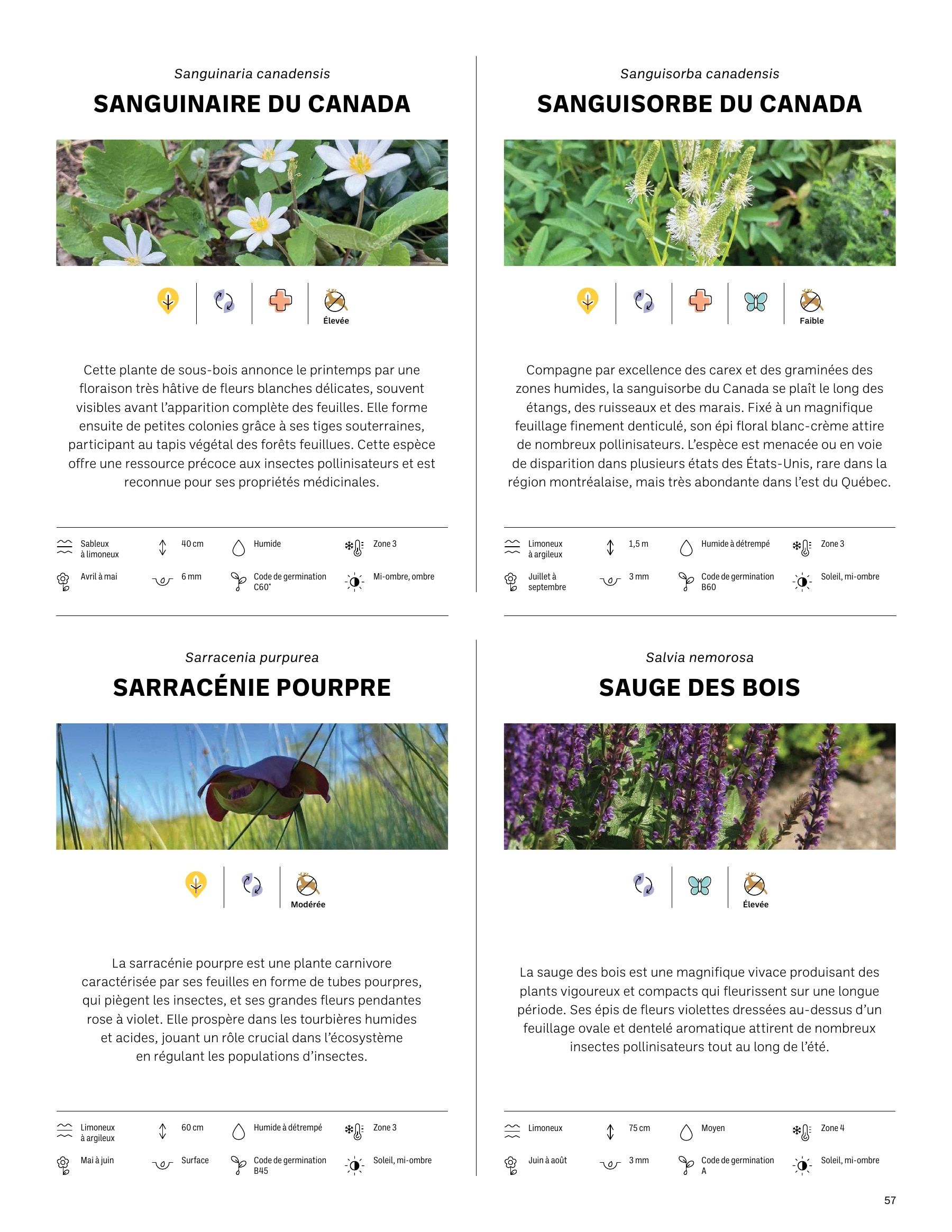 Akène Detailed Seed Catalog Flyer January 1 - December 31, 2026