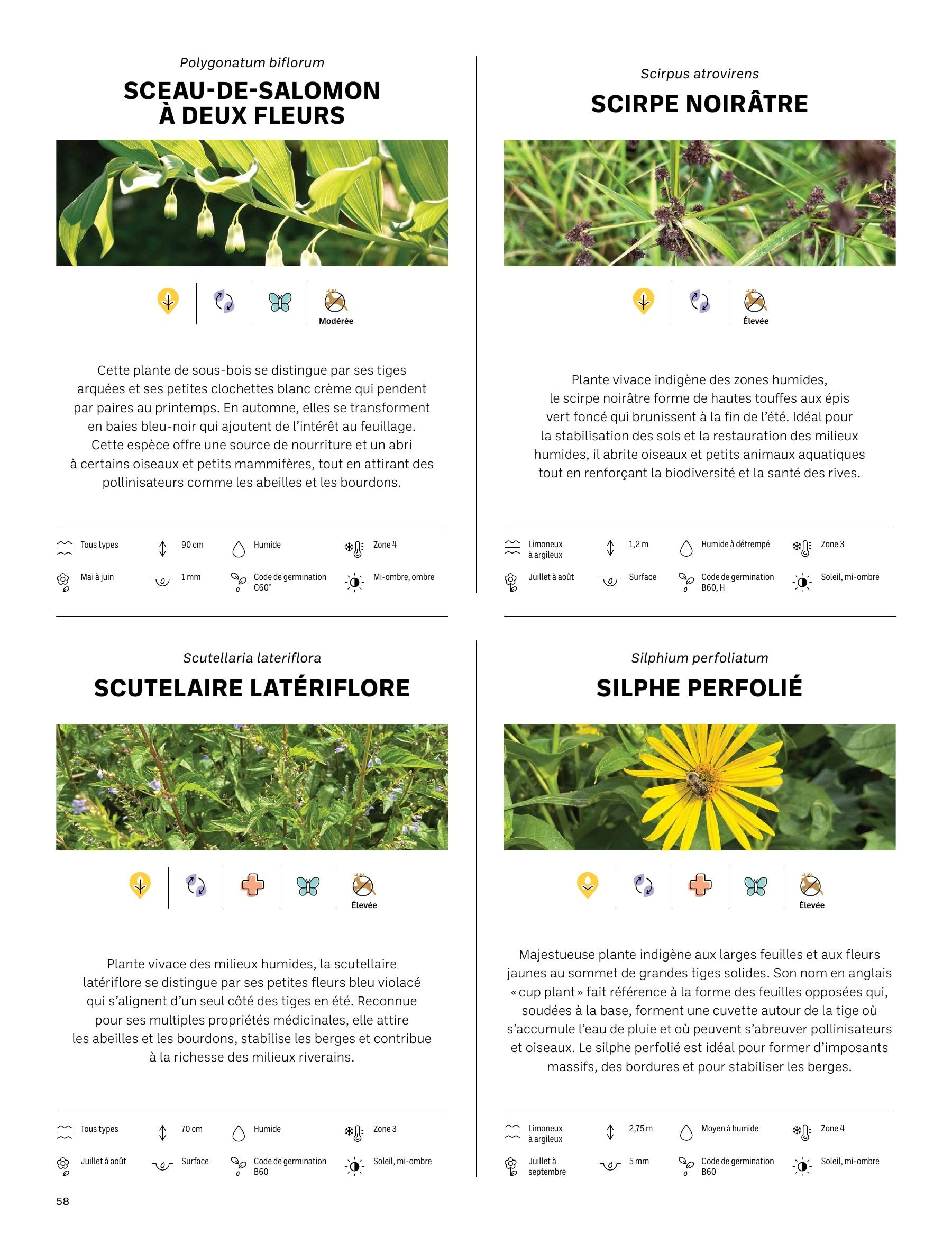 Akène Detailed Seed Catalog Flyer January 1 - December 31, 2026
