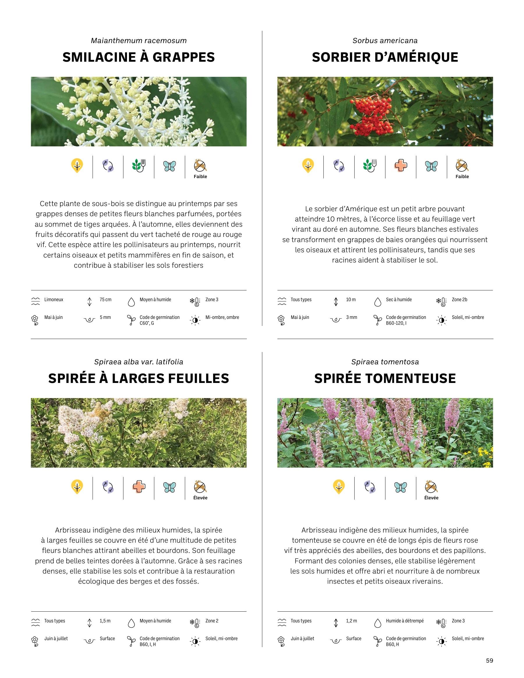 Akène Detailed Seed Catalog Flyer January 1 - December 31, 2026