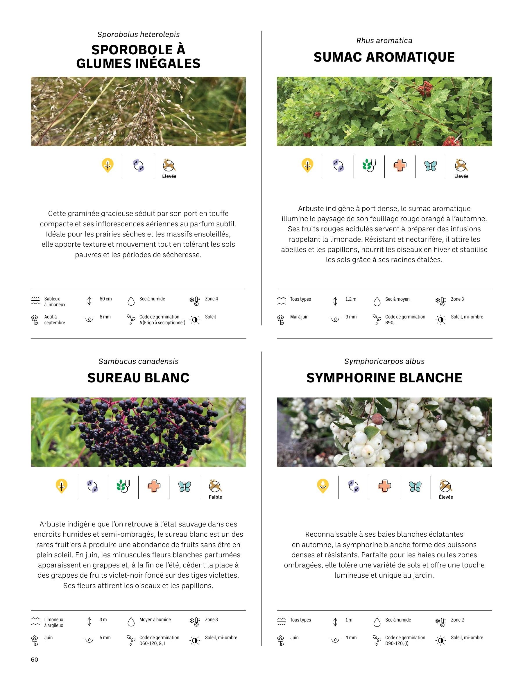 Akène Detailed Seed Catalog Flyer January 1 - December 31, 2026