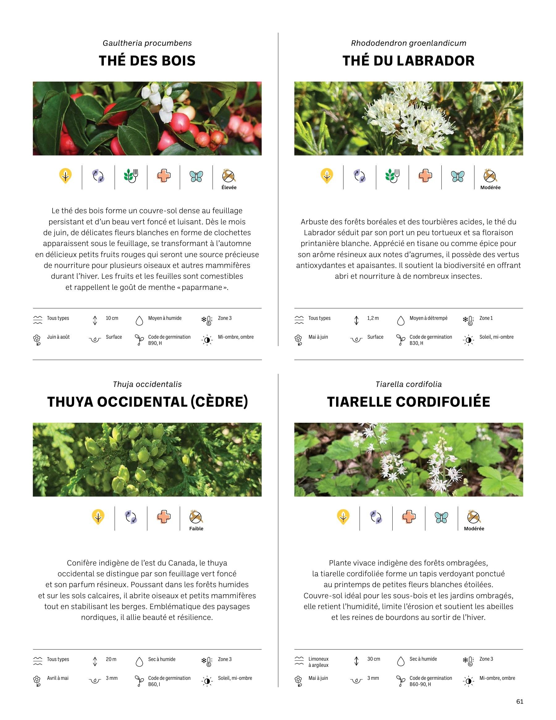 Akène Detailed Seed Catalog Flyer January 1 - December 31, 2026