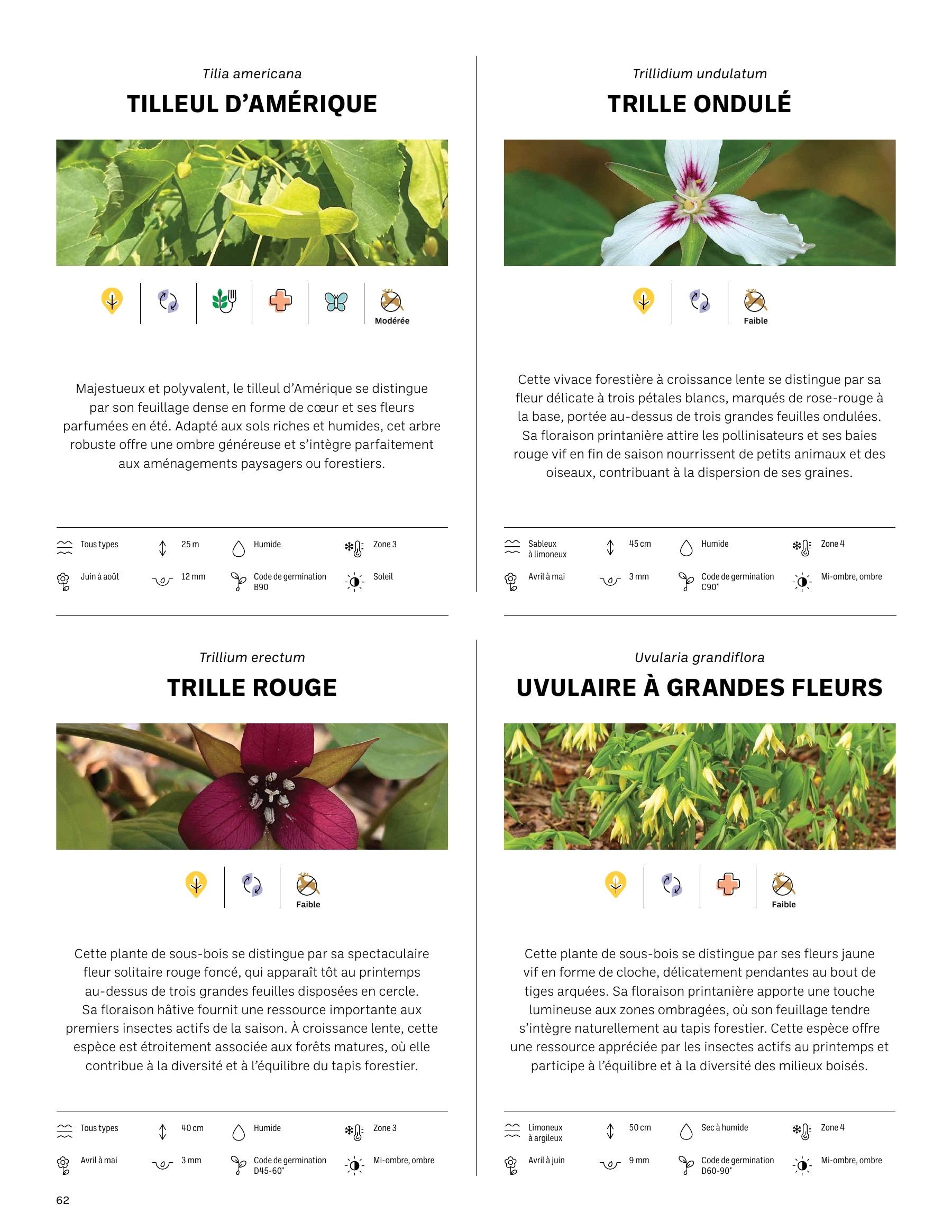 Akène Detailed Seed Catalog Flyer January 1 - December 31, 2026