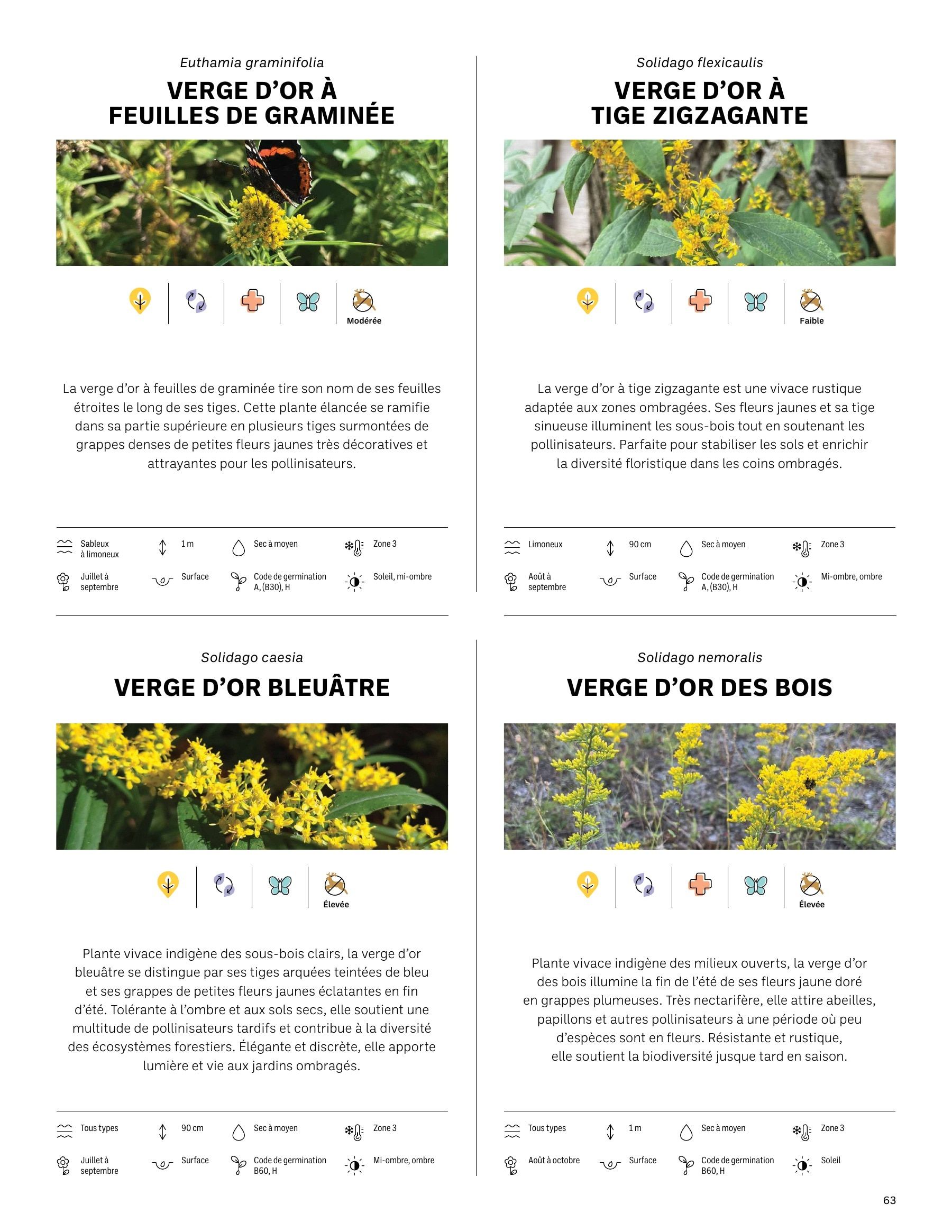 Akène Detailed Seed Catalog Flyer January 1 - December 31, 2026