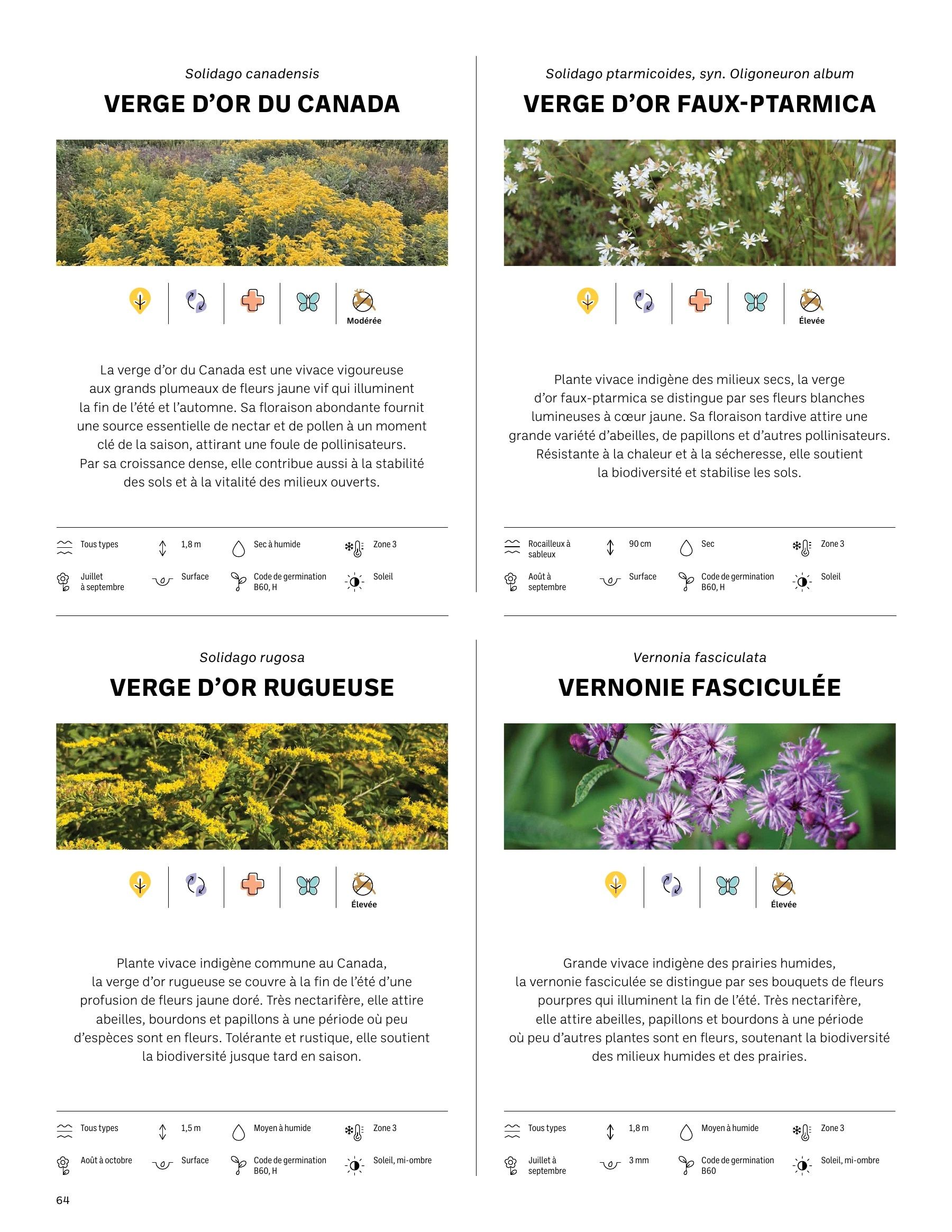 Akène Detailed Seed Catalog Flyer January 1 - December 31, 2026