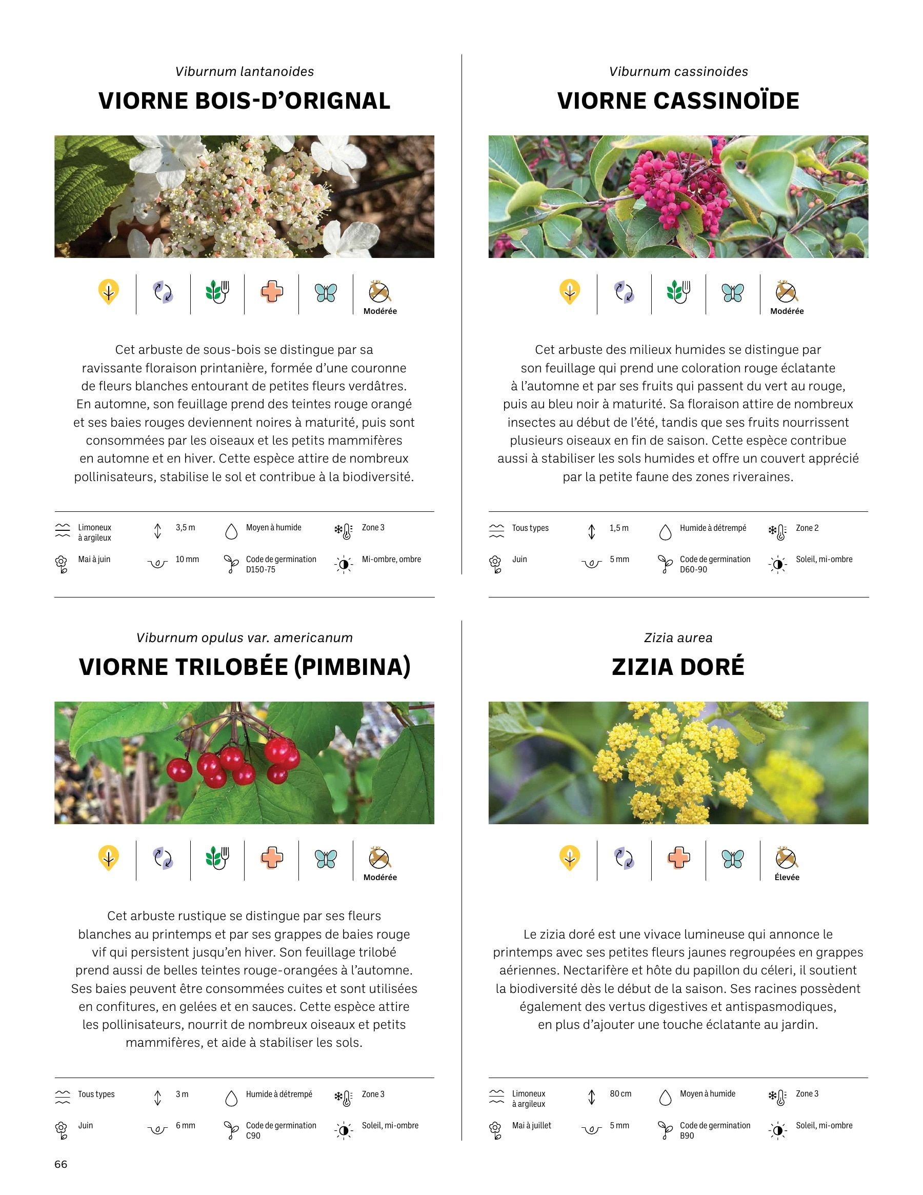 Akène Detailed Seed Catalog Flyer January 1 - December 31, 2026