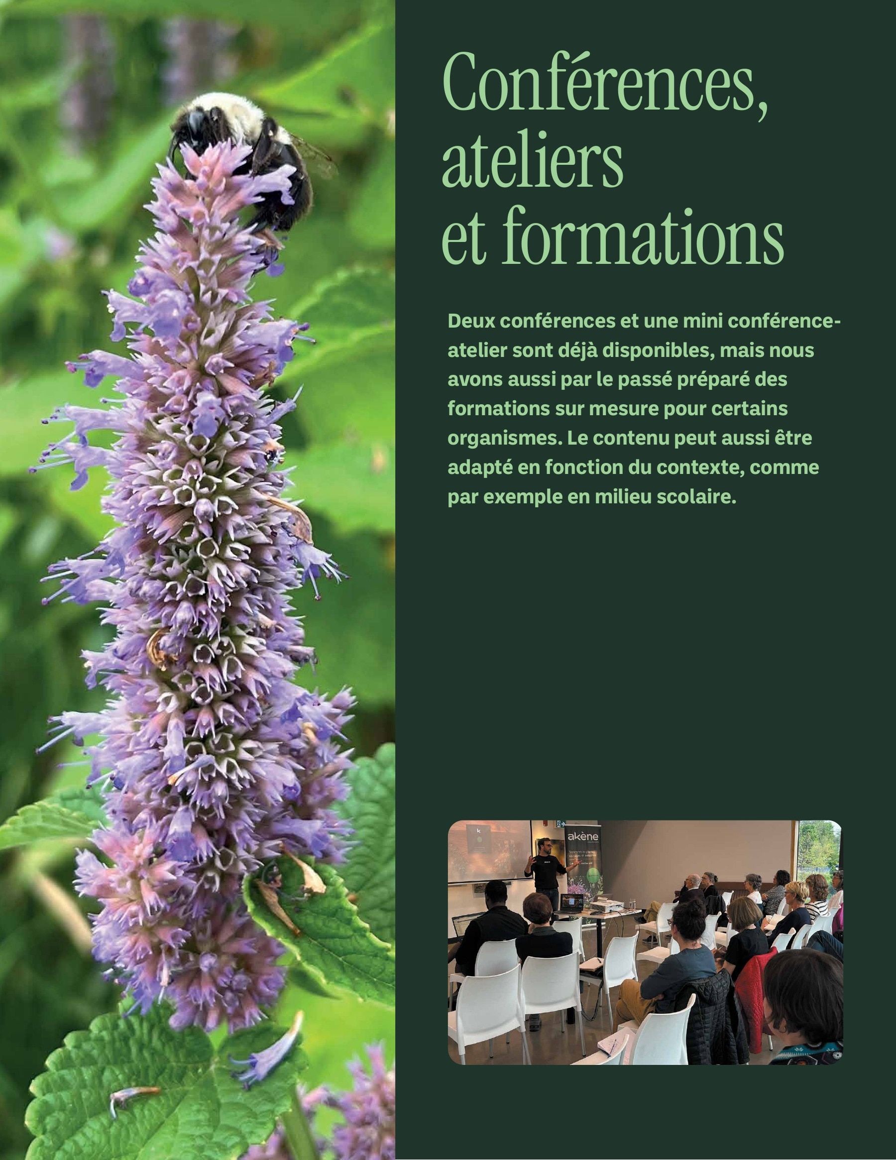 Akène Detailed Seed Catalog Flyer January 1 - December 31, 2026